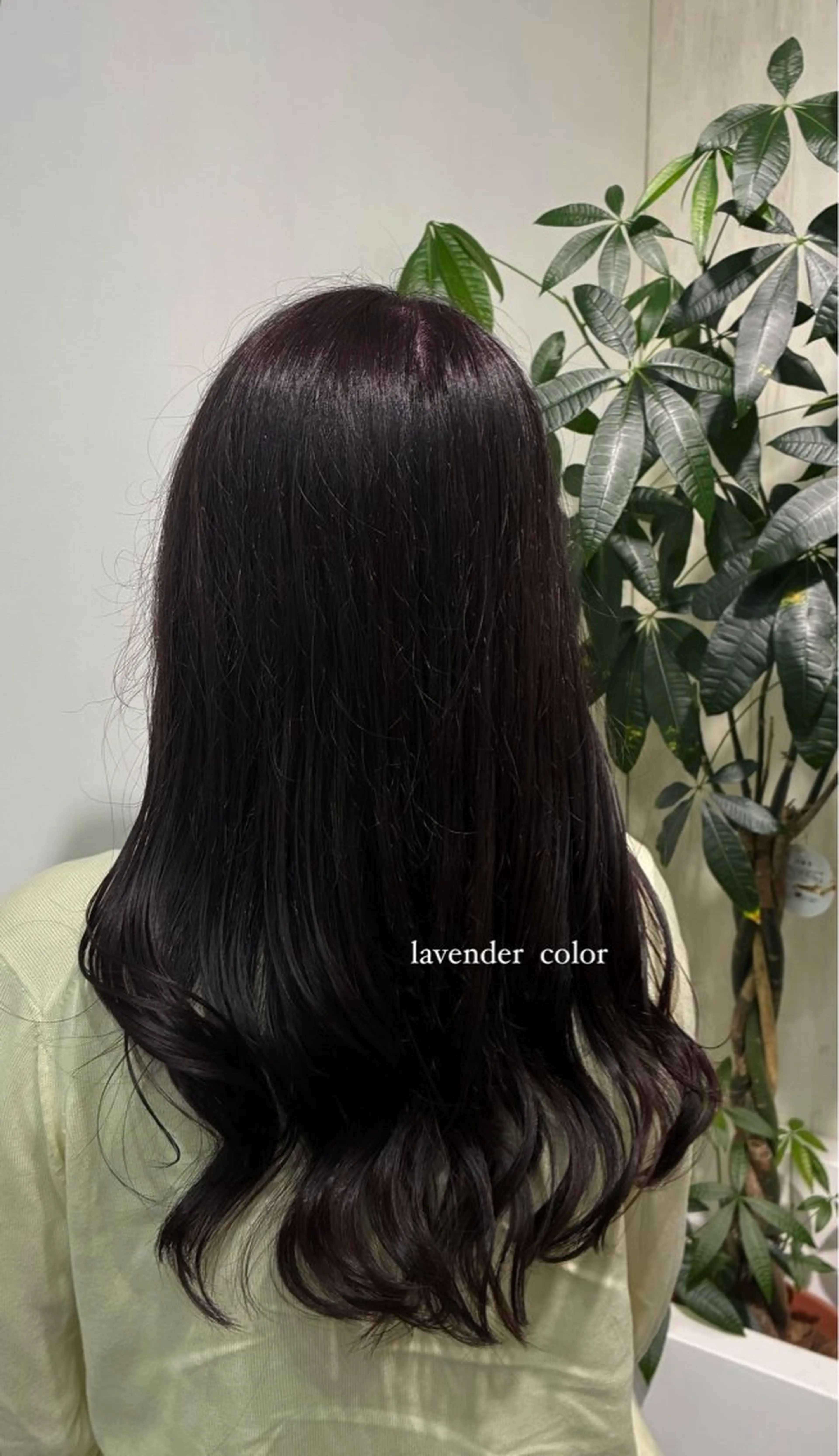 カラー ラベンダーカラー ヘアカラー 🌟小出 倫花🌟のヘアスタイル