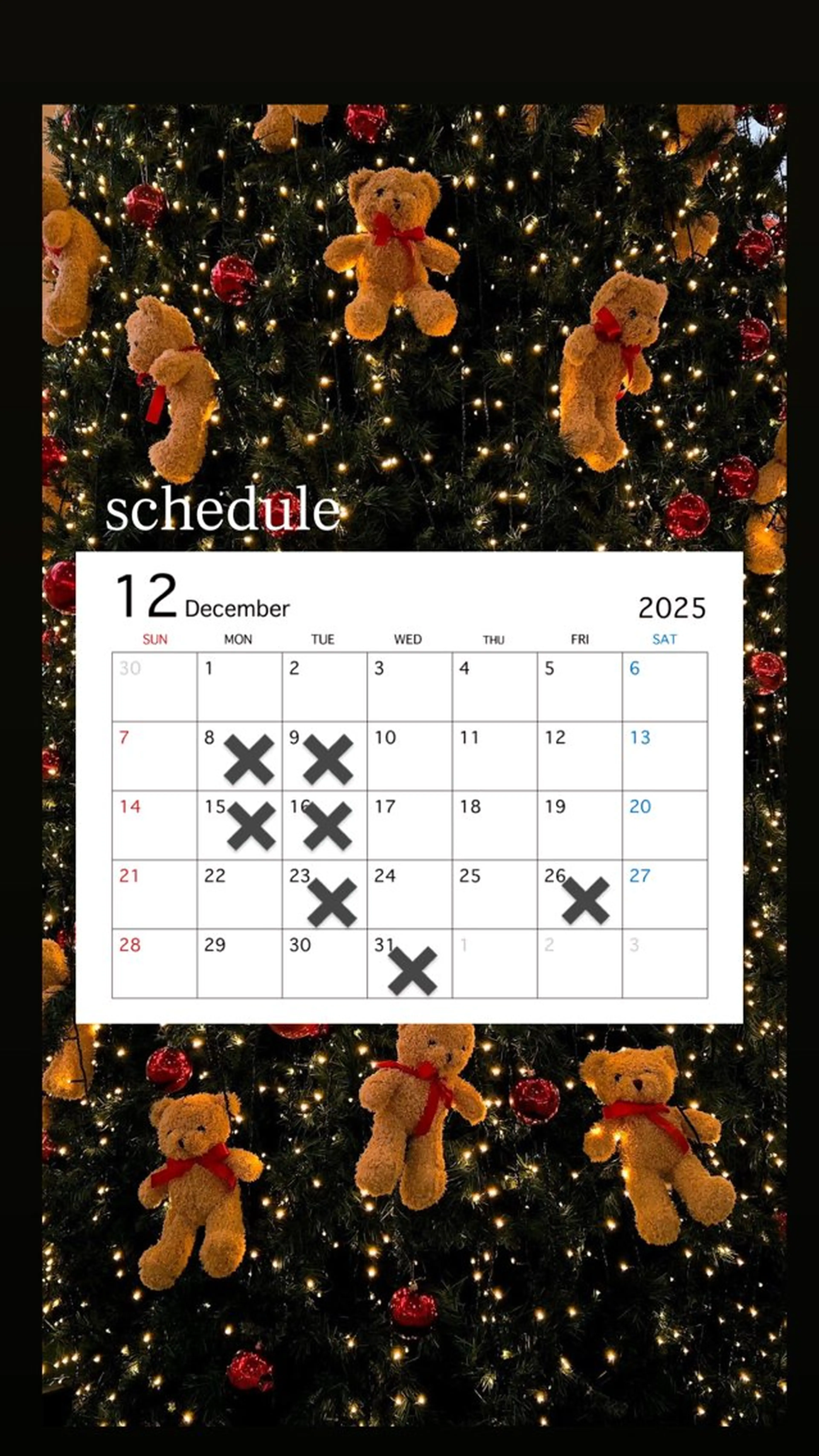 パーマ カット 縮毛矯正 トリートメント 生活に馴染む デザイン/鏡ゆうかのヘアスタイル