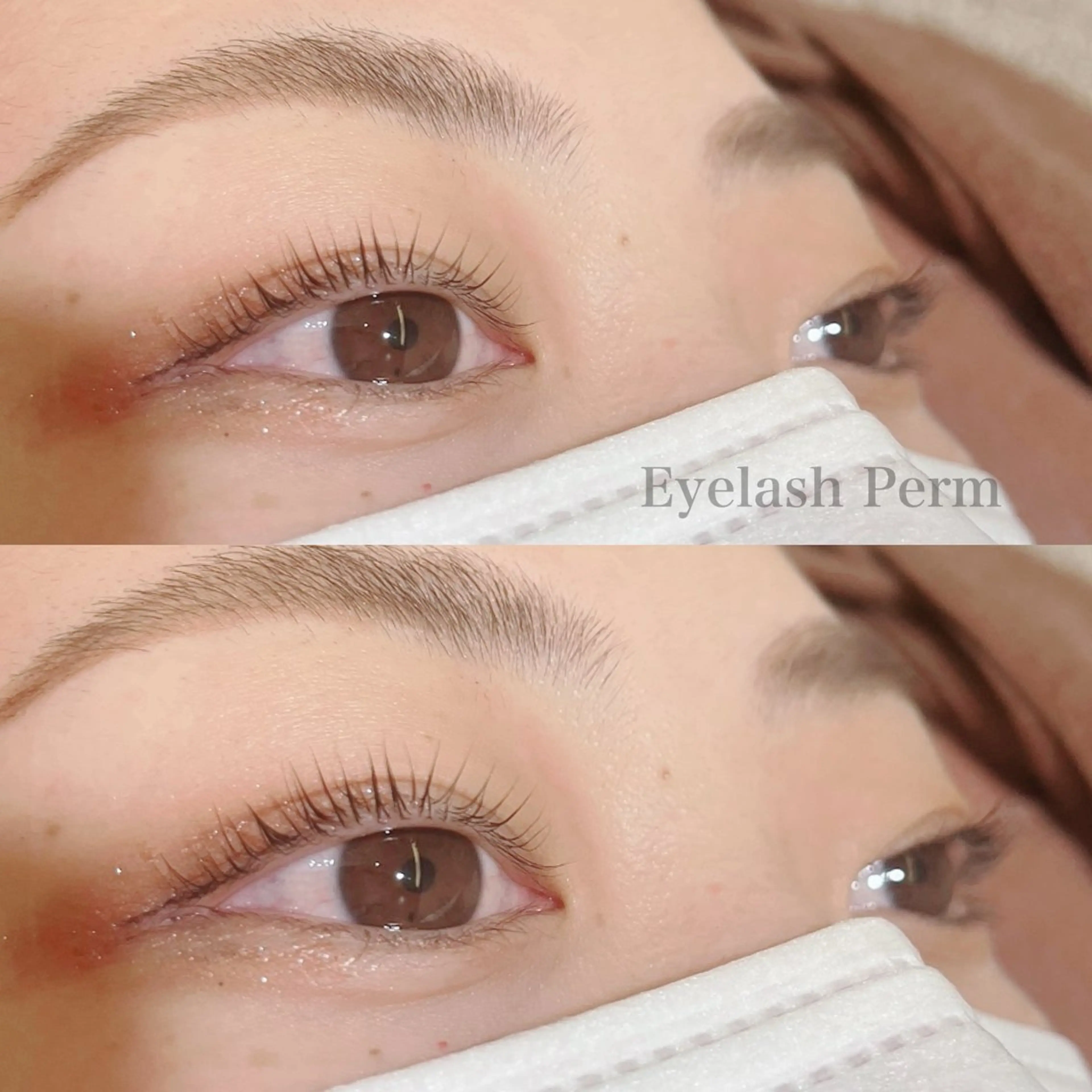 マツエク・マツパ マツパ 🦋中川 未来🦋のヘアスタイル