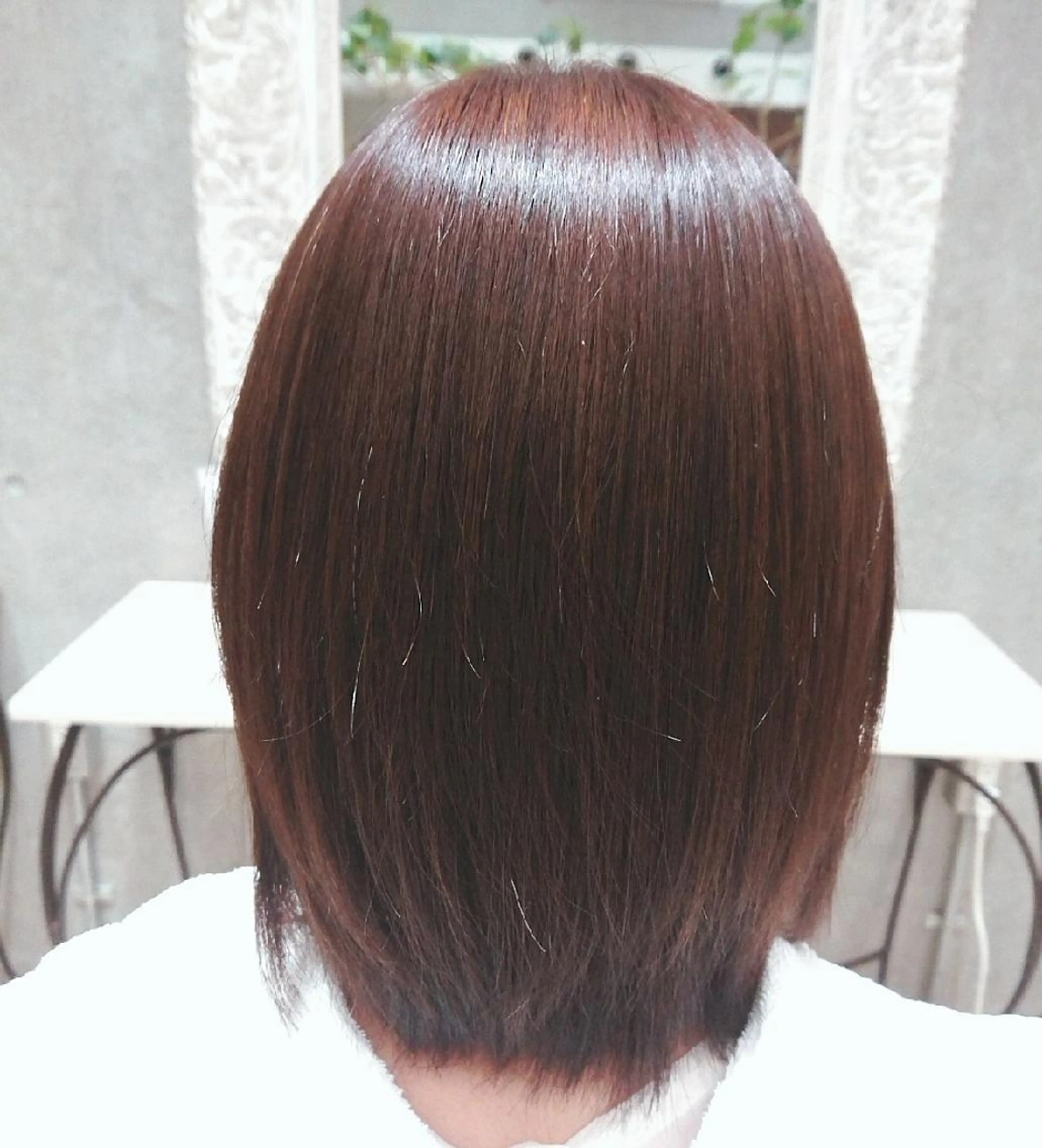 坪井 佑美のヘアスタイル