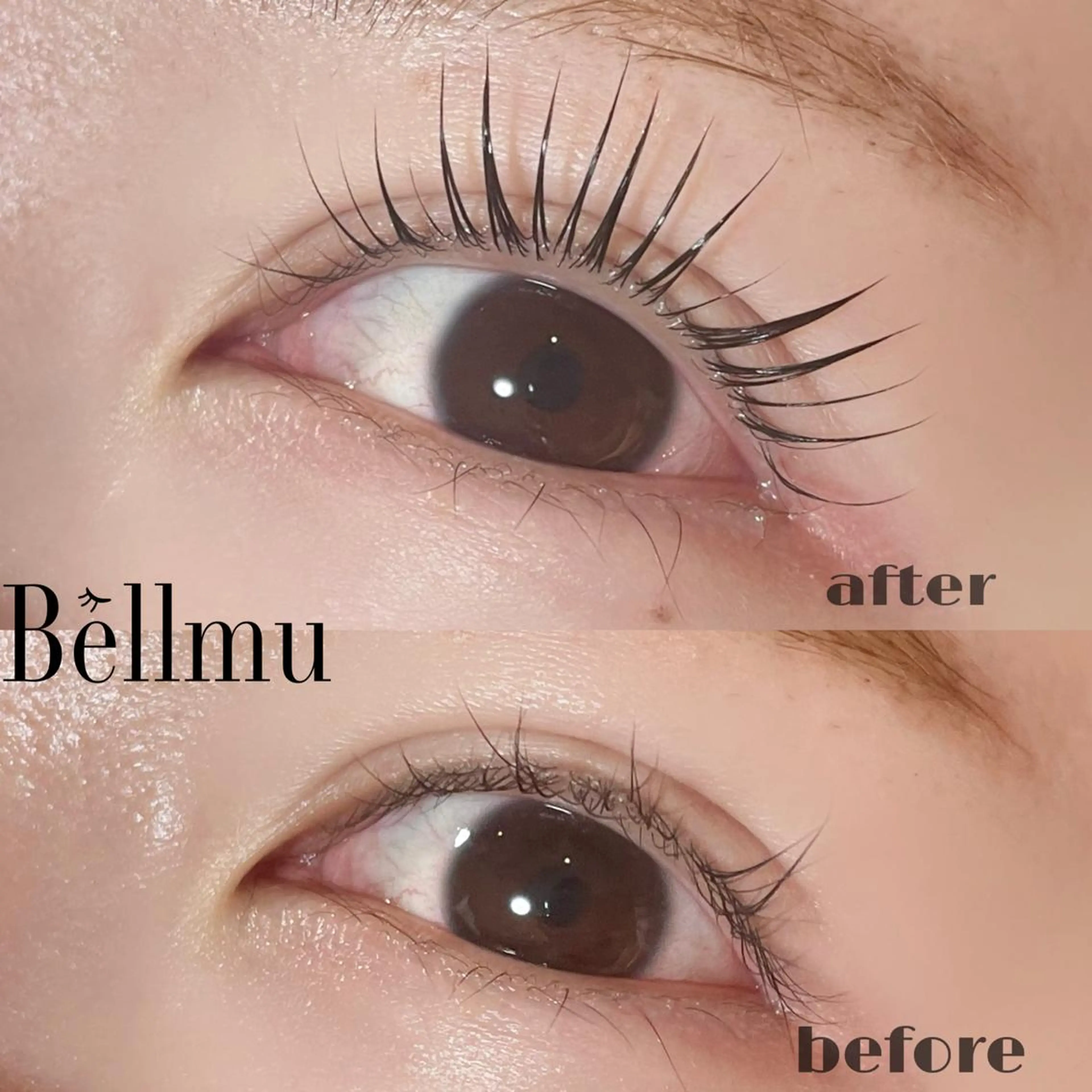 マツエク・マツパ 💈Bèllmu/ なんば/心斎橋🖤のマツエク・マツパデザイン