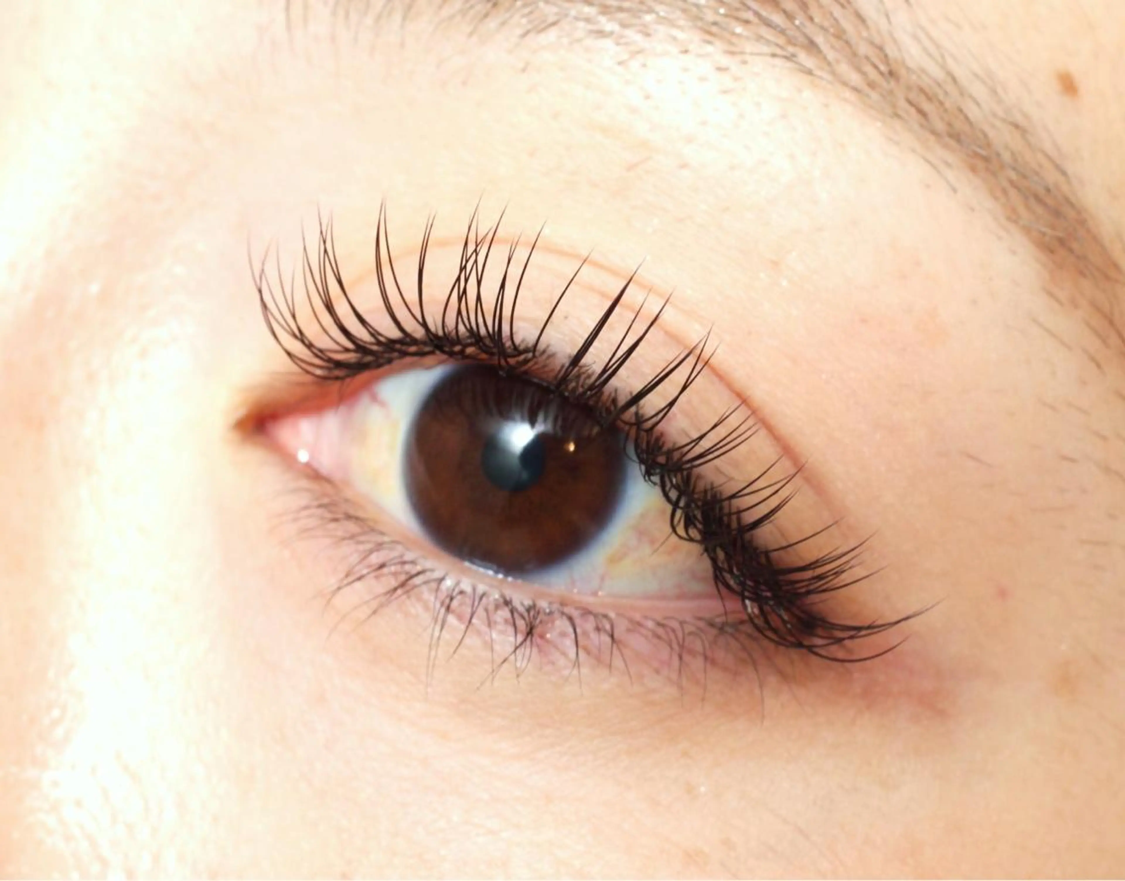 マツエク・マツパ カルペ・ディエム Ｆのマツエク・マツパデザイン