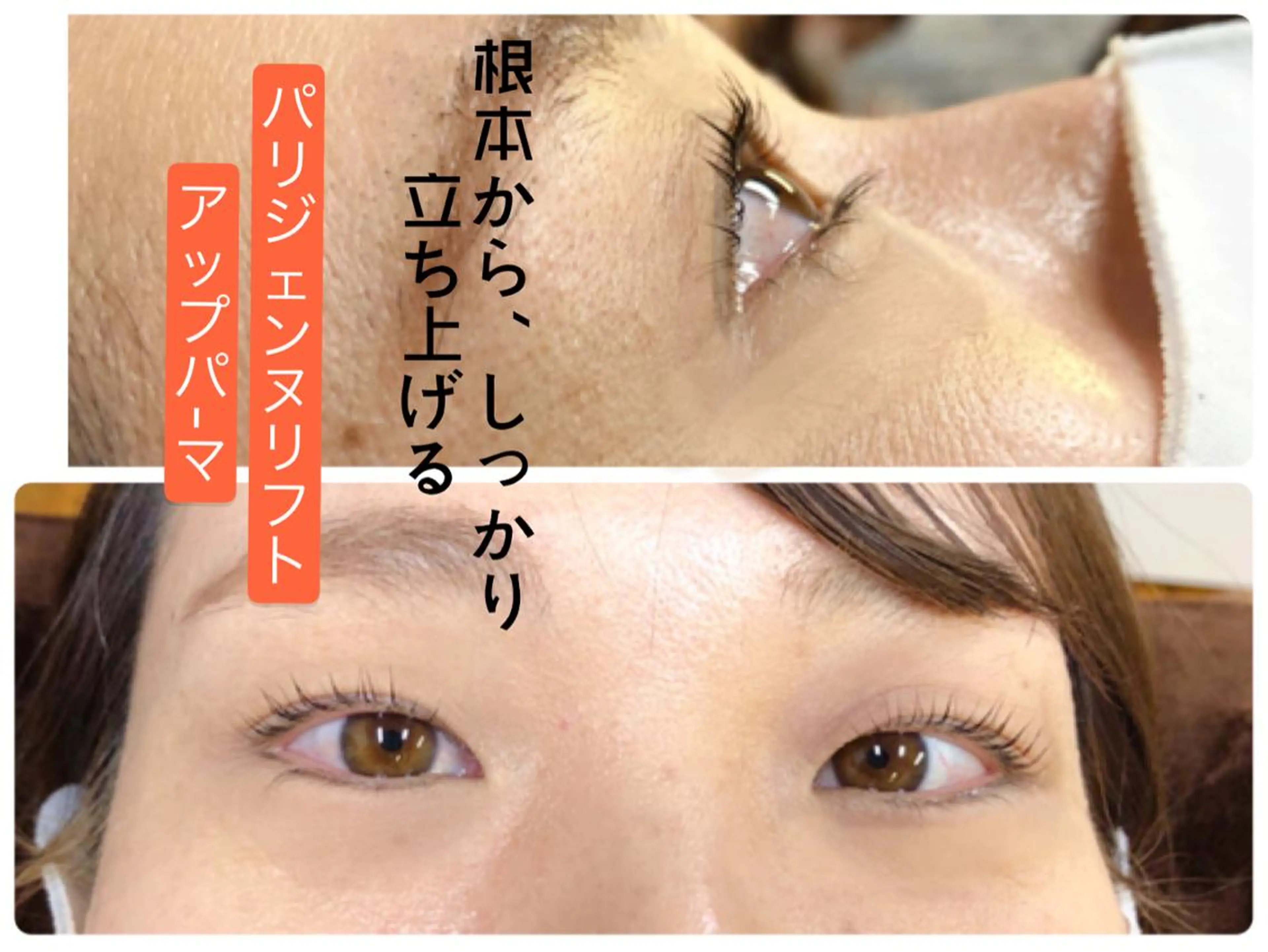 マツエク・マツパ パリジェンヌラッシュリフト chic　吉崎 翔子のマツエク・マツパデザイン