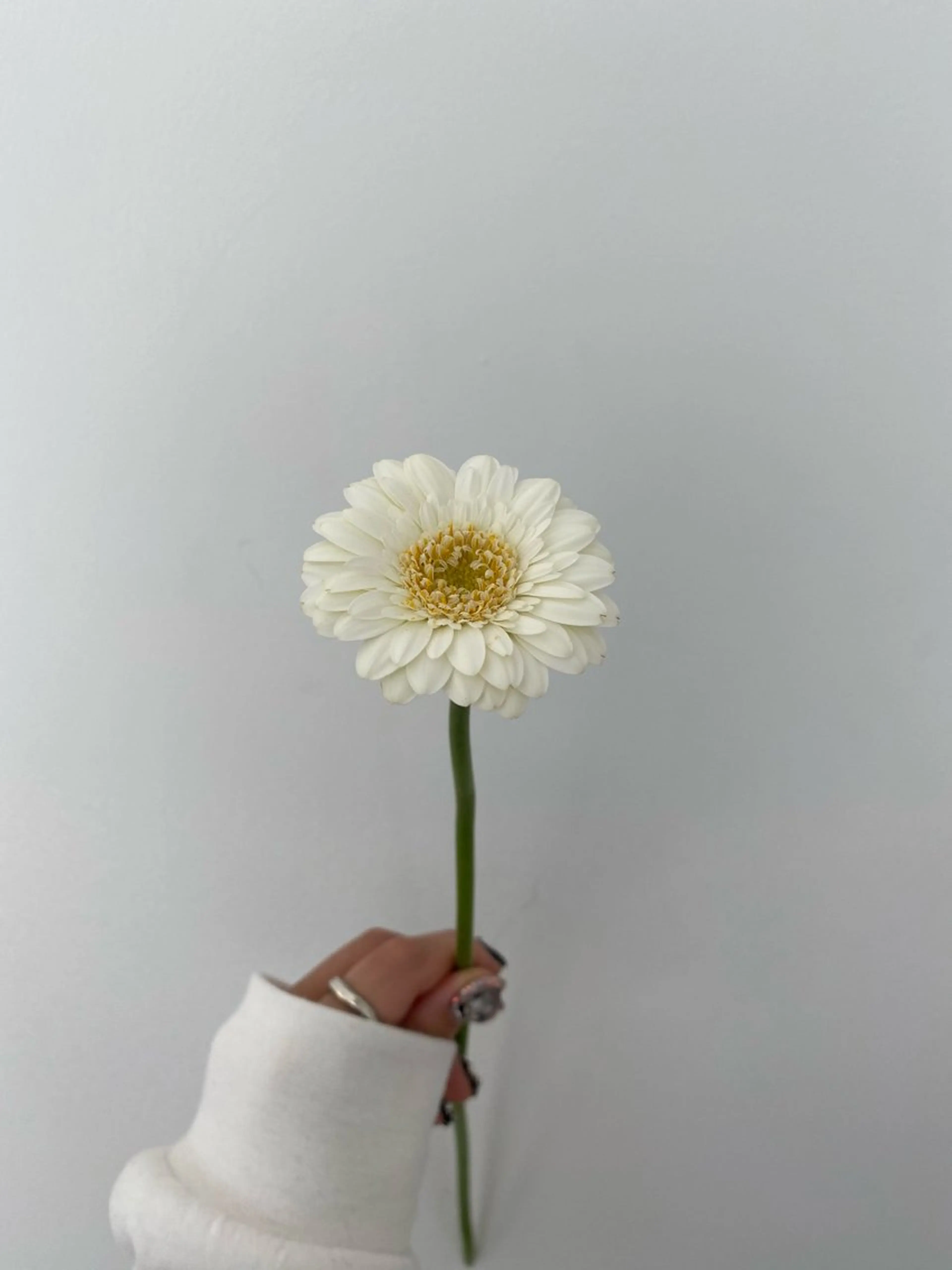 ヘアカラー トリートメント 🌻花屋併設🌻濱 幸帆のヘアスタイル