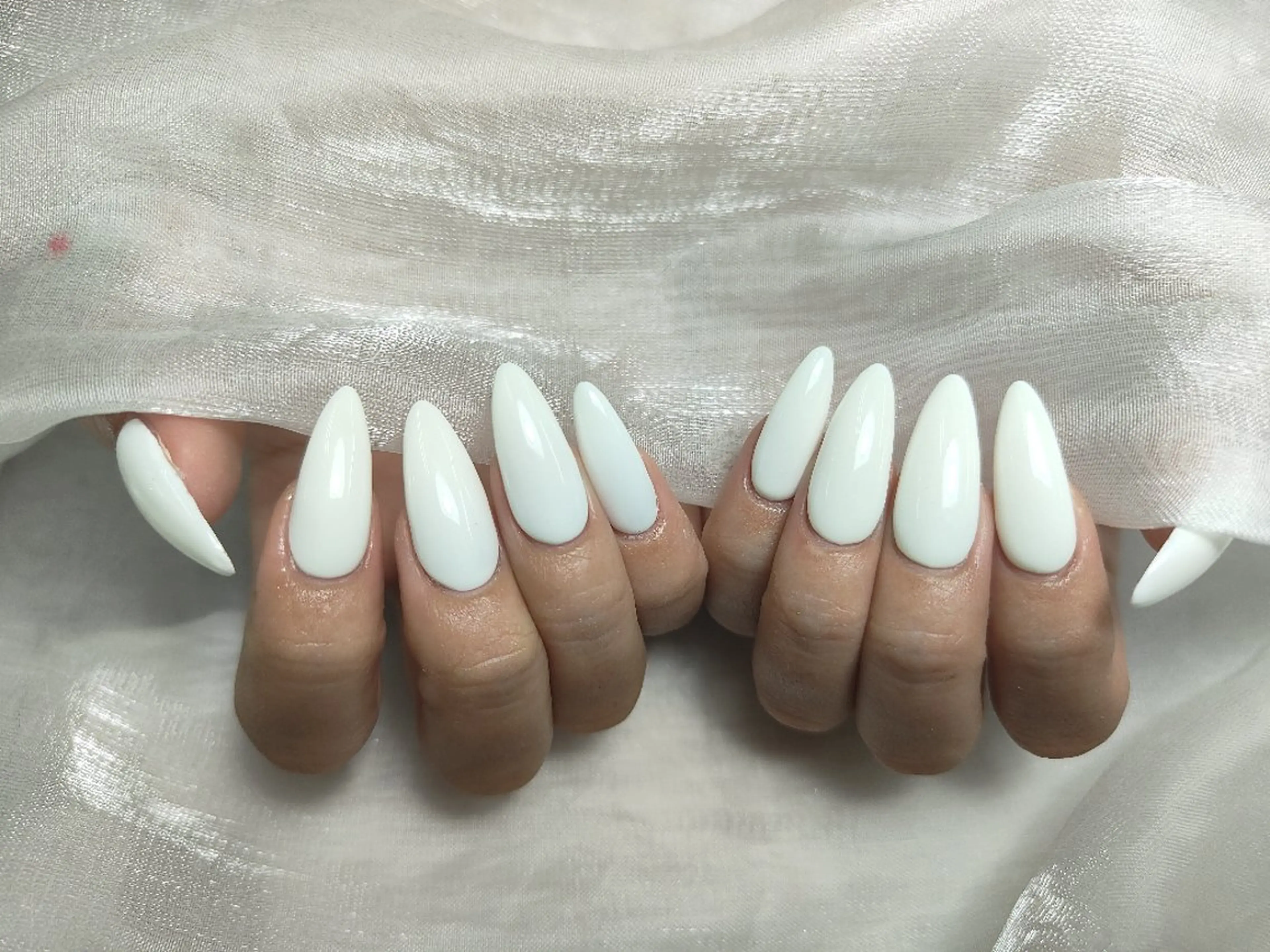 ネイル ワンカラーネイル モニカ アキイのネイルデザイン