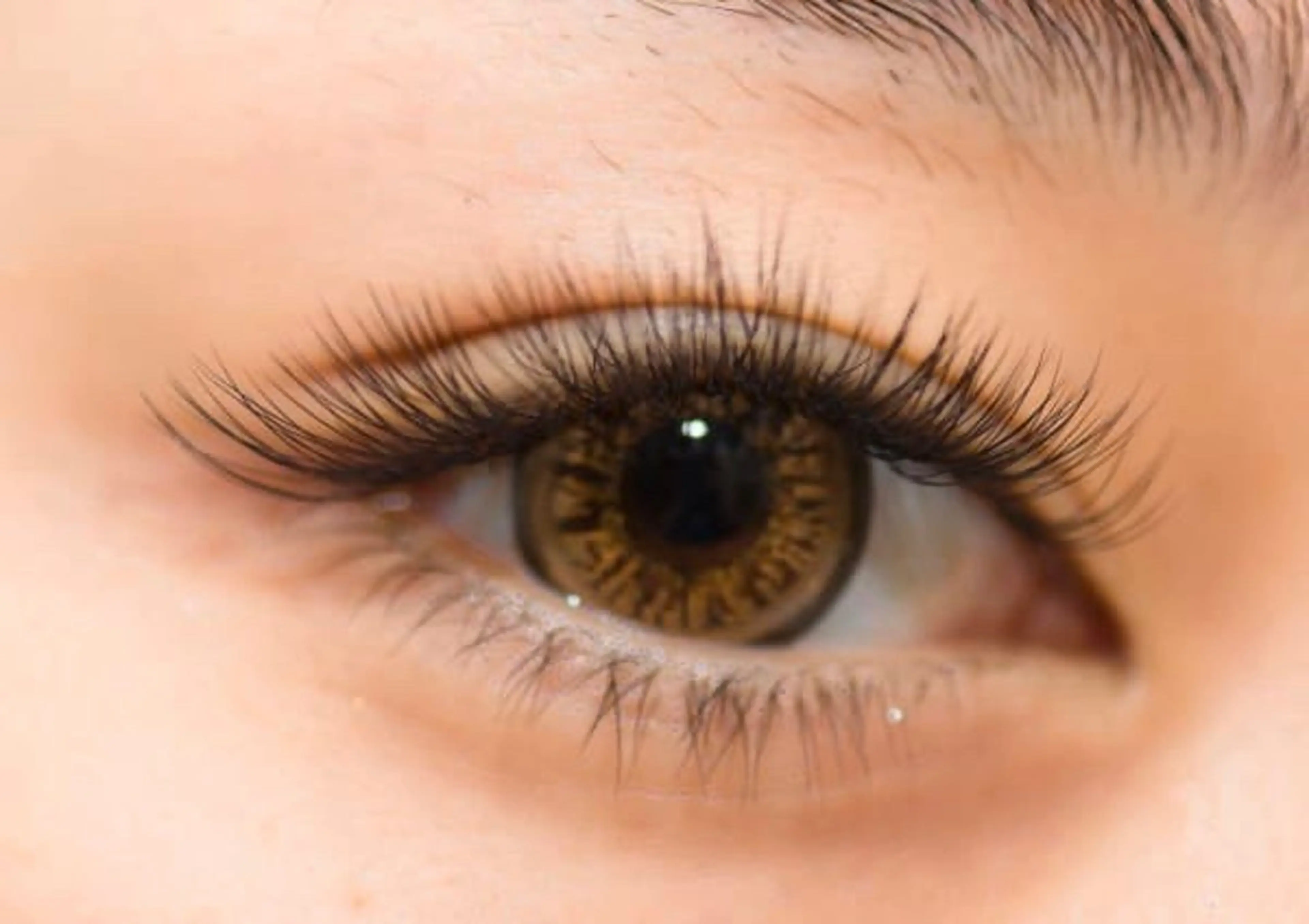 マツエク・マツパ ボリュームラッシュ マツエク 🍒eyelash tent🍒のマツエク・マツパデザイン