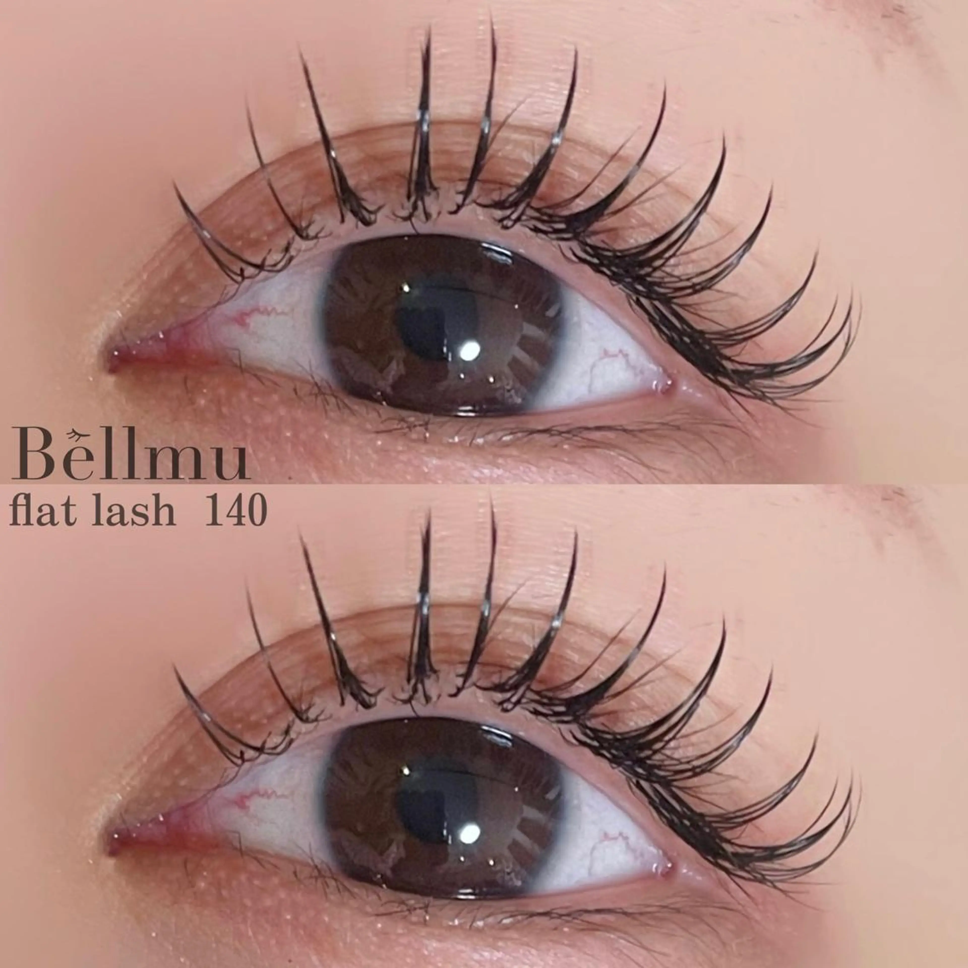 マツエク・マツパ 束感まつ毛 フラットラッシュ 💈Bèllmu/ なんば/心斎橋🖤のマツエク・マツパデザイン