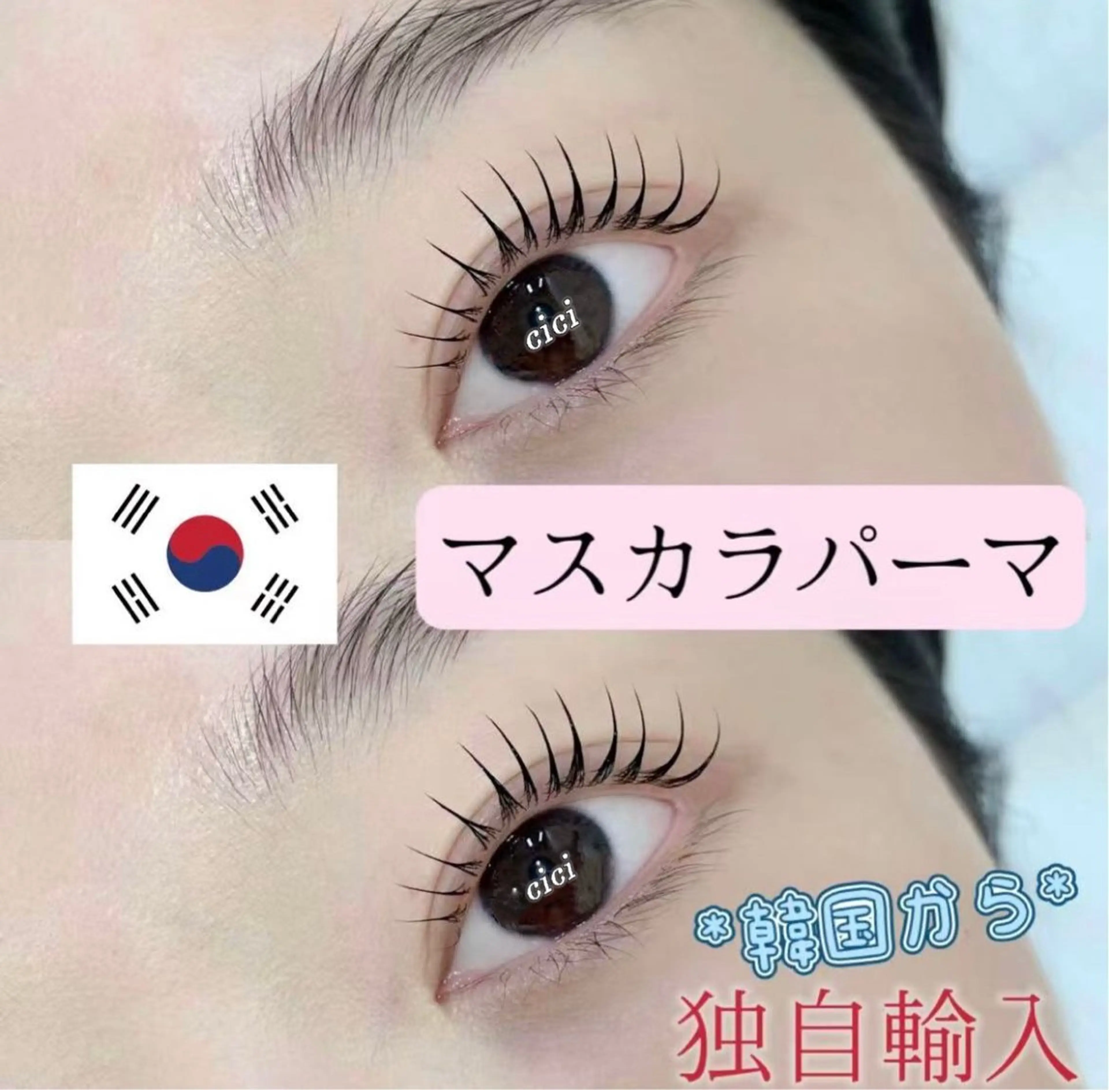 【上のみ】🇰🇷韓国発ブラックティント選べるマスカラパーマの写真