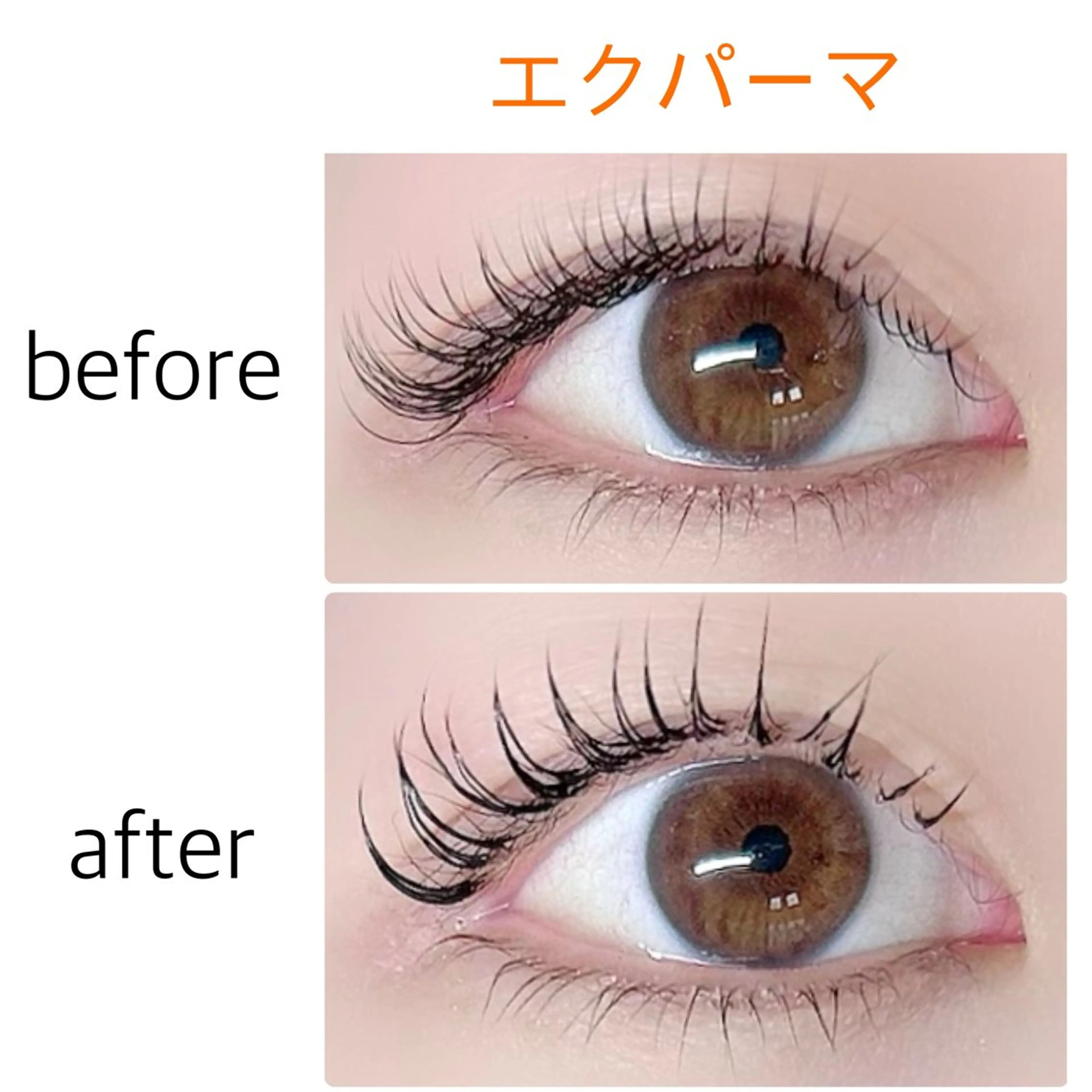 マツエク・マツパ Cカール マツエク soposilma 🧸今季OPENのマツエク・マツパデザイン