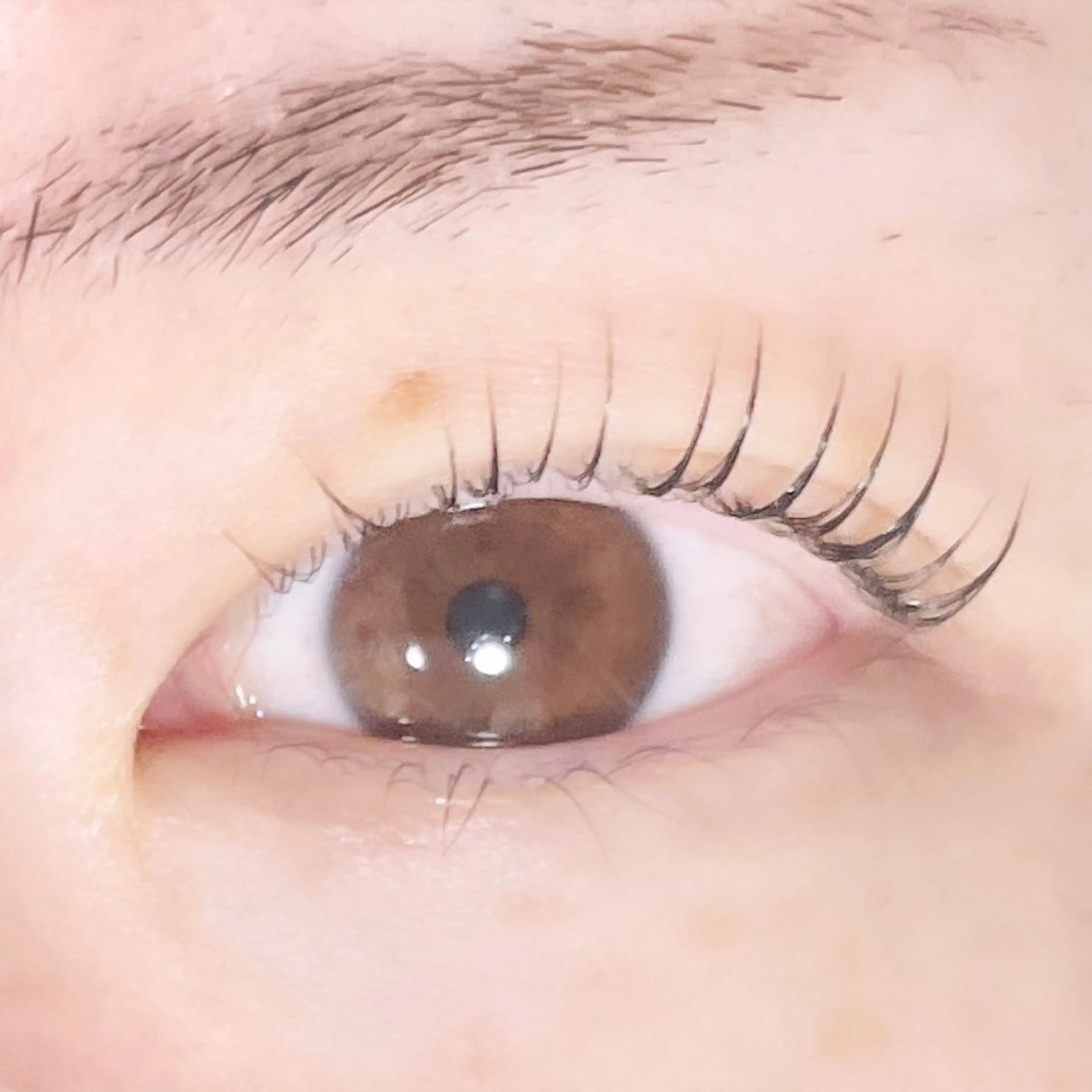 マツエク・マツパ TAKEO🖤 マリーテレジア藤が丘のマツエク・マツパデザイン