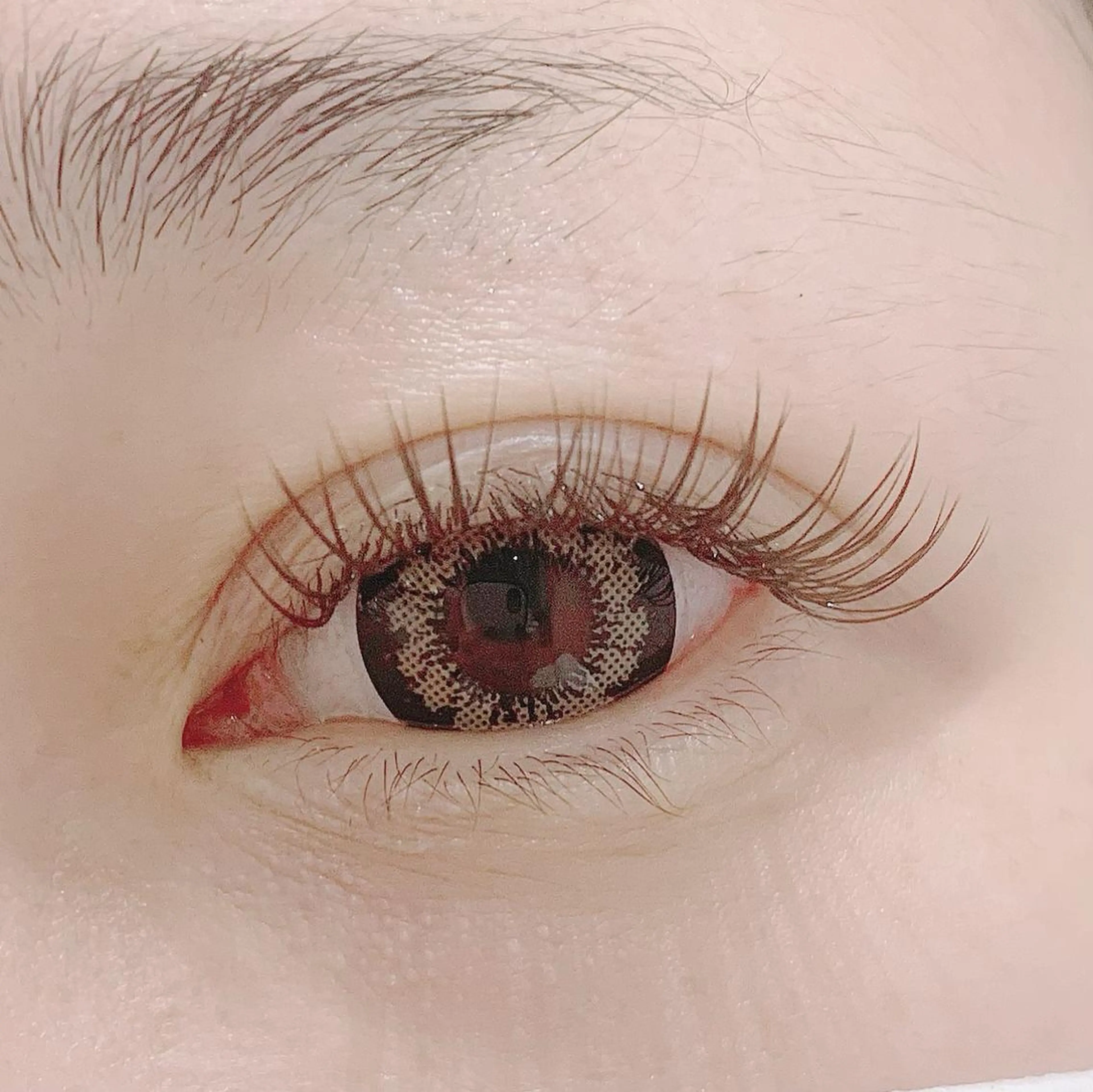 マツエク・マツパ カラーマツエク 池袋駅韓国風🇰🇷 束感💗Tomoのマツエク・マツパデザイン