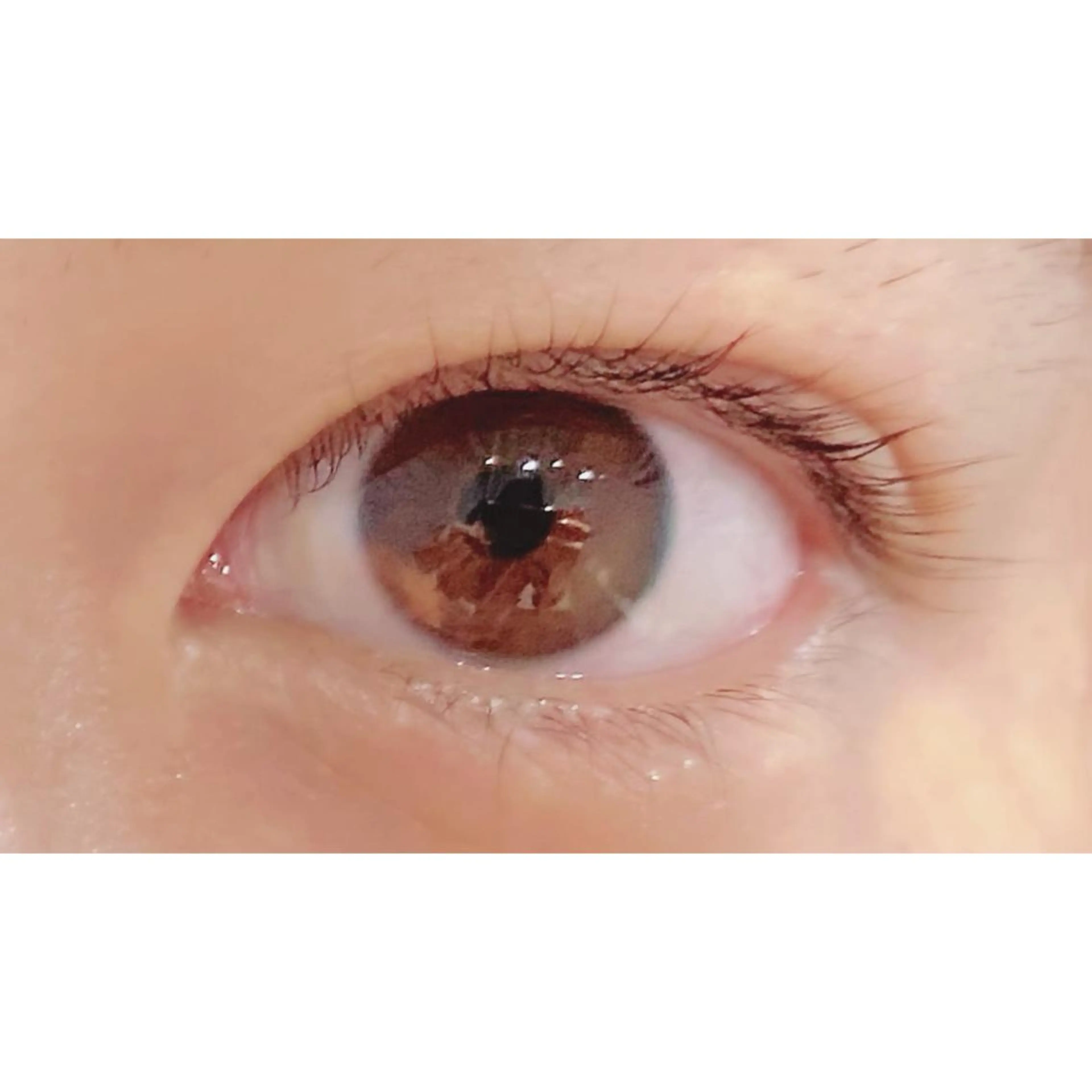 マツエク・マツパ パリジェンヌラッシュリフト Bianca 長津田店 長牛のマツエク・マツパデザイン