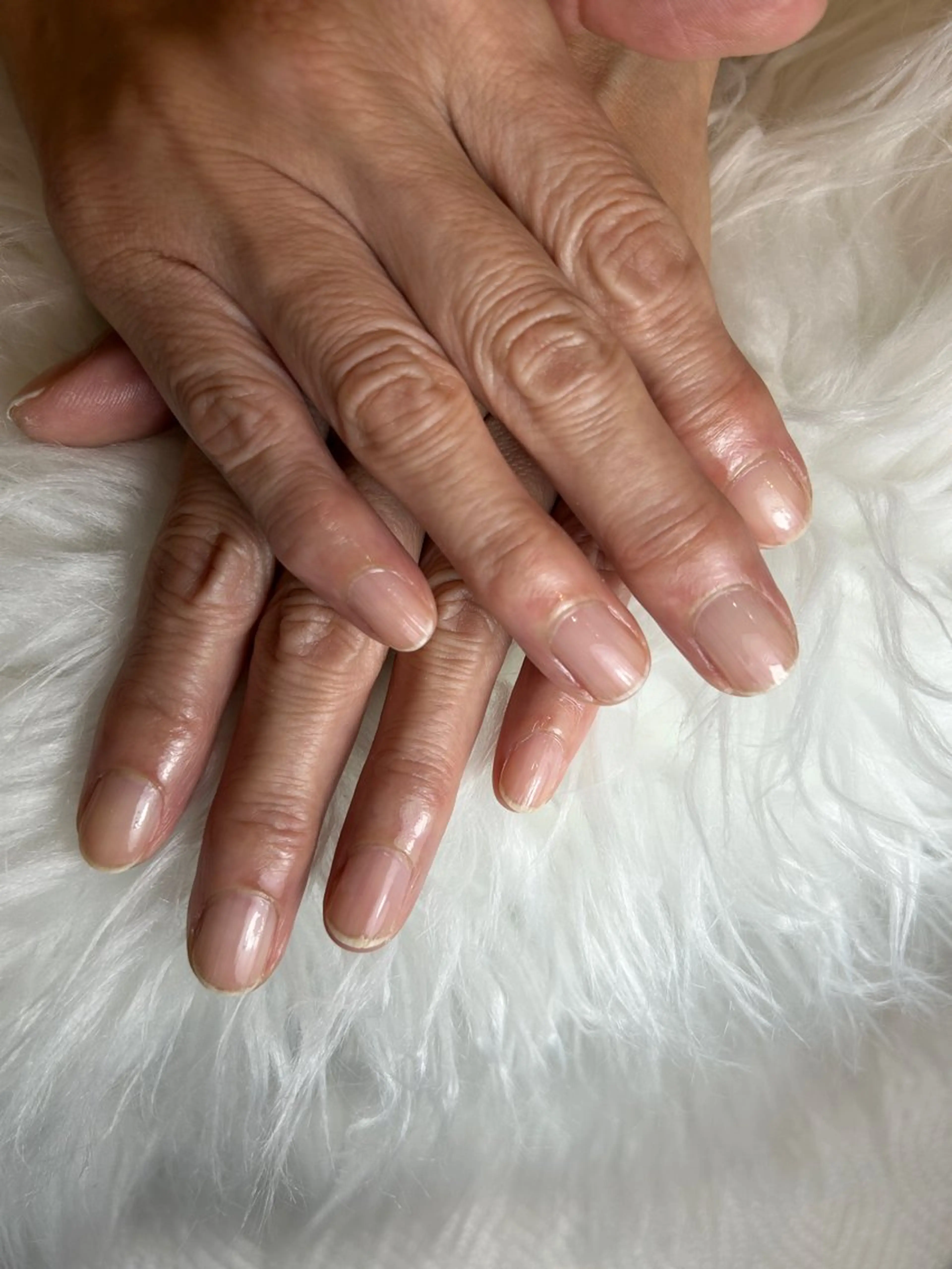 オフのみの写真