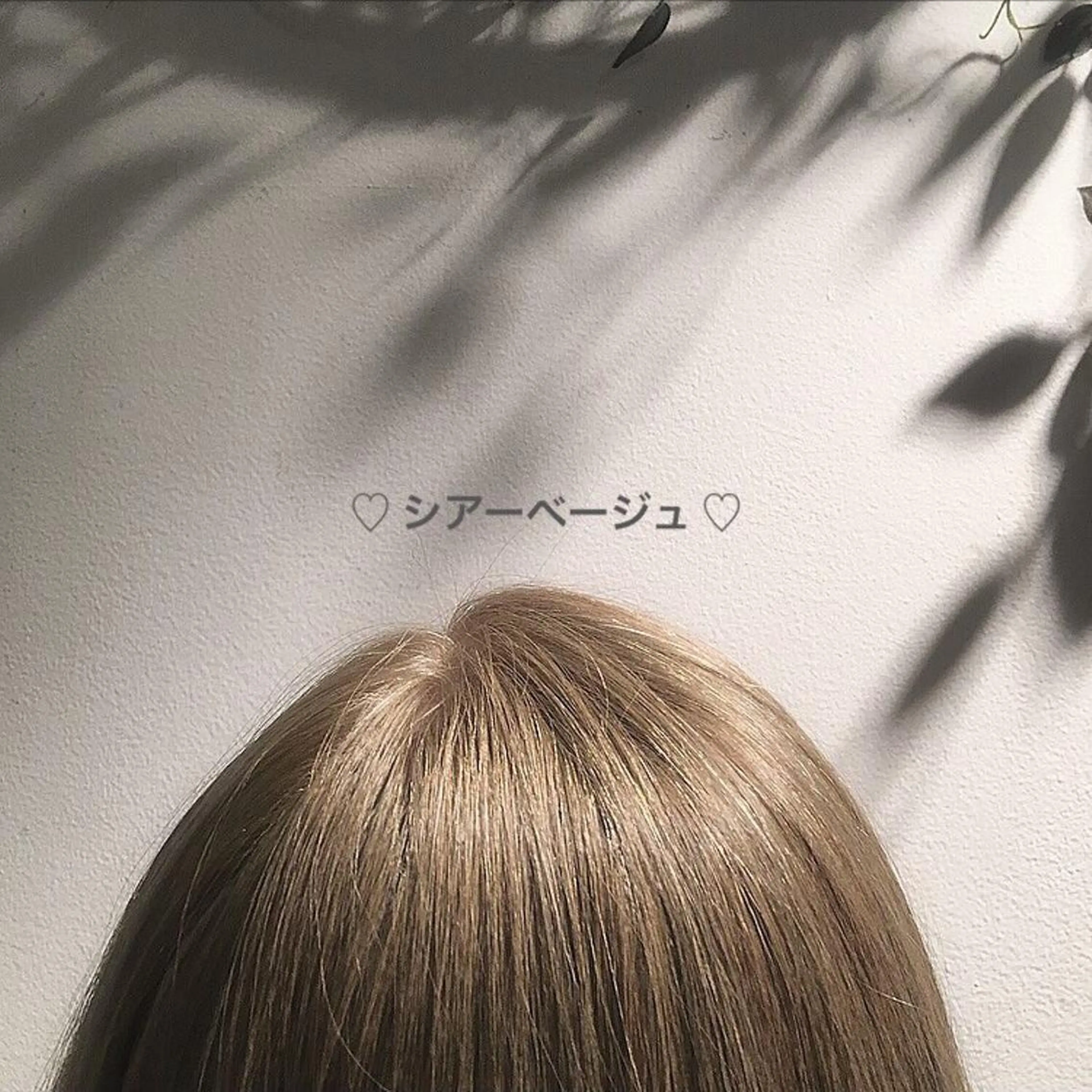 カラー ベージュカラー ブリーチ 透明感カラー ヘアカラー ash鴨居店所属・有光 ルイのヘアスタイル