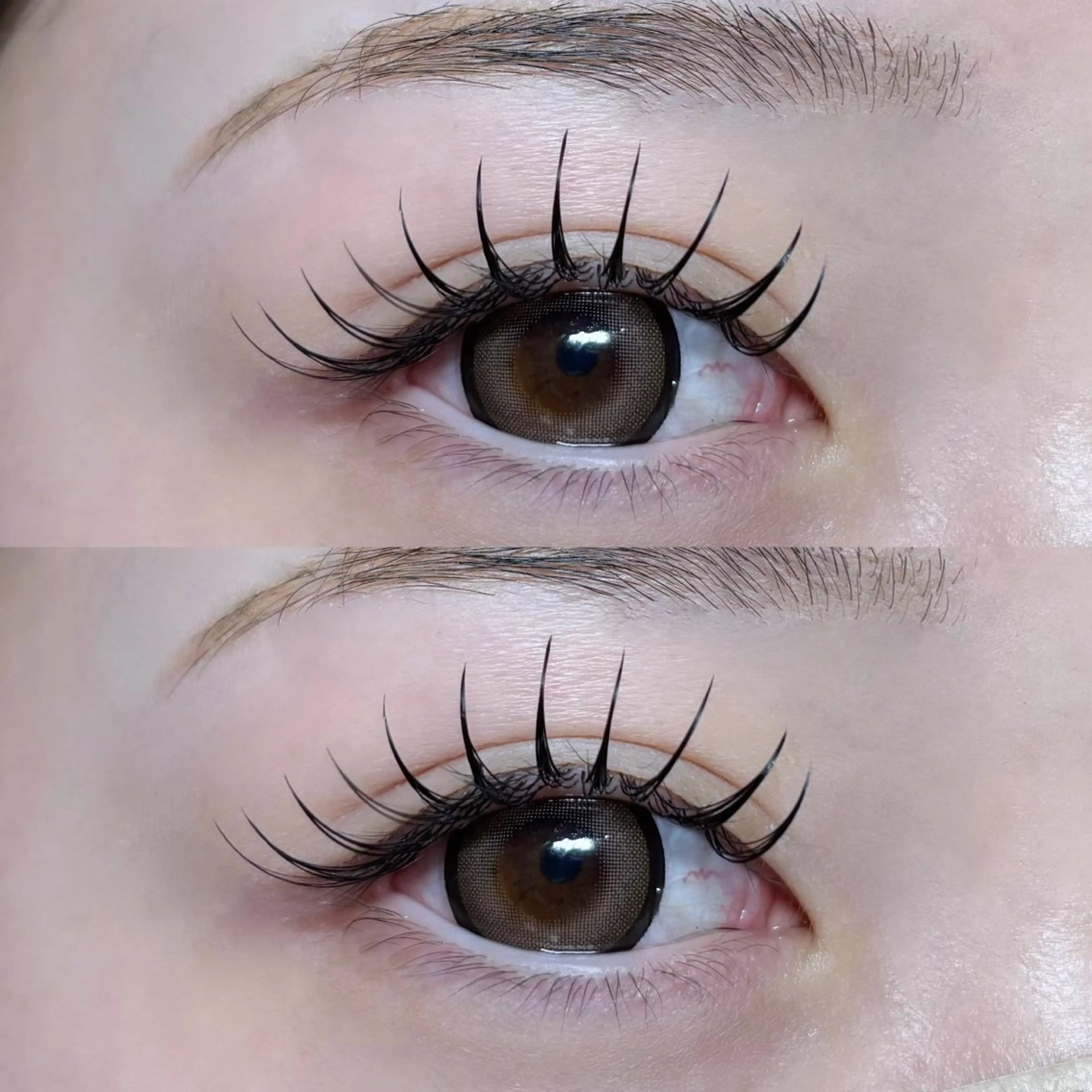 フラットラッシュ付け放題🪽✨(オフ込み)の写真