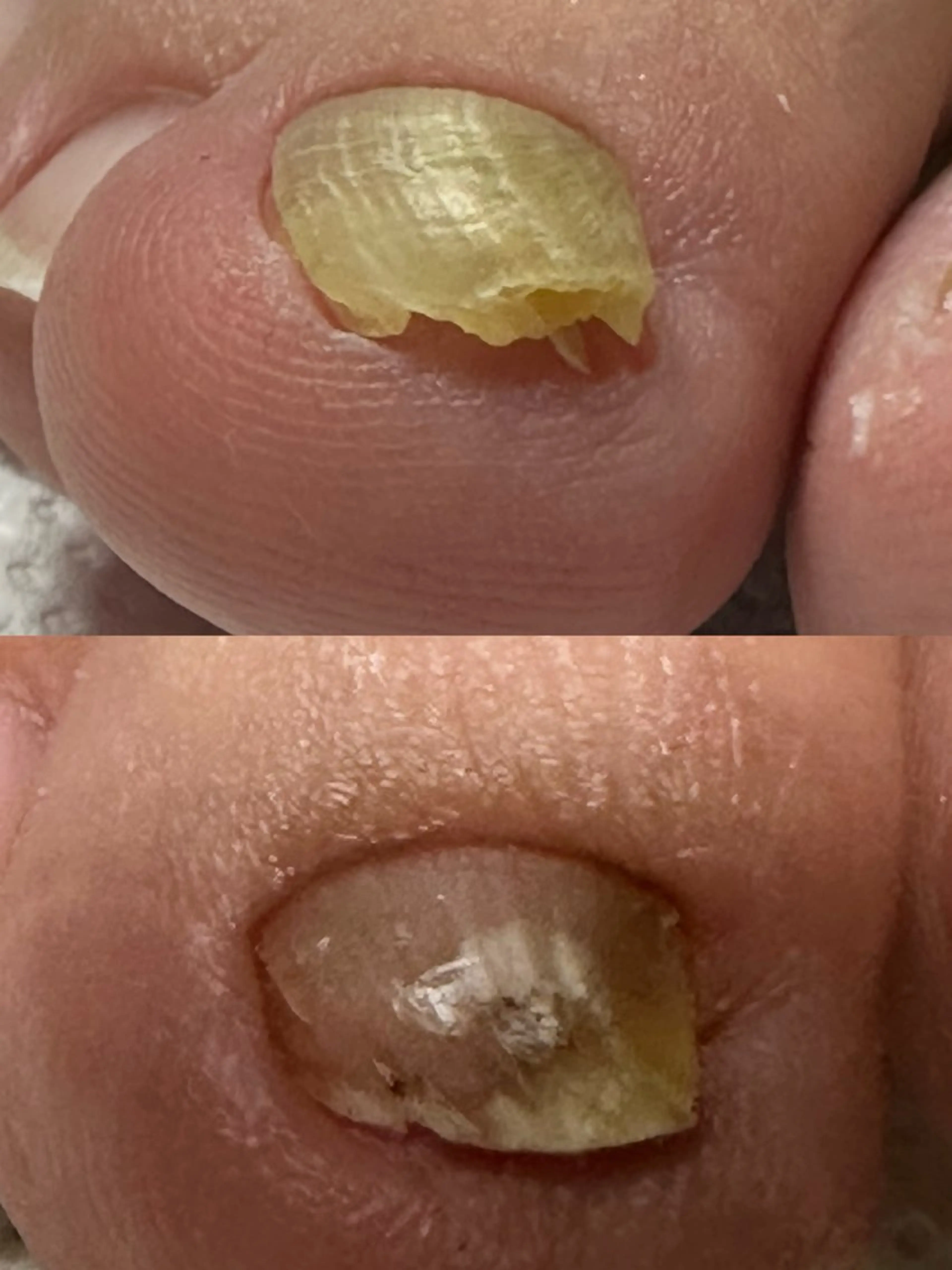 ネイル ネイルケアサロン Campanulaのネイルデザイン