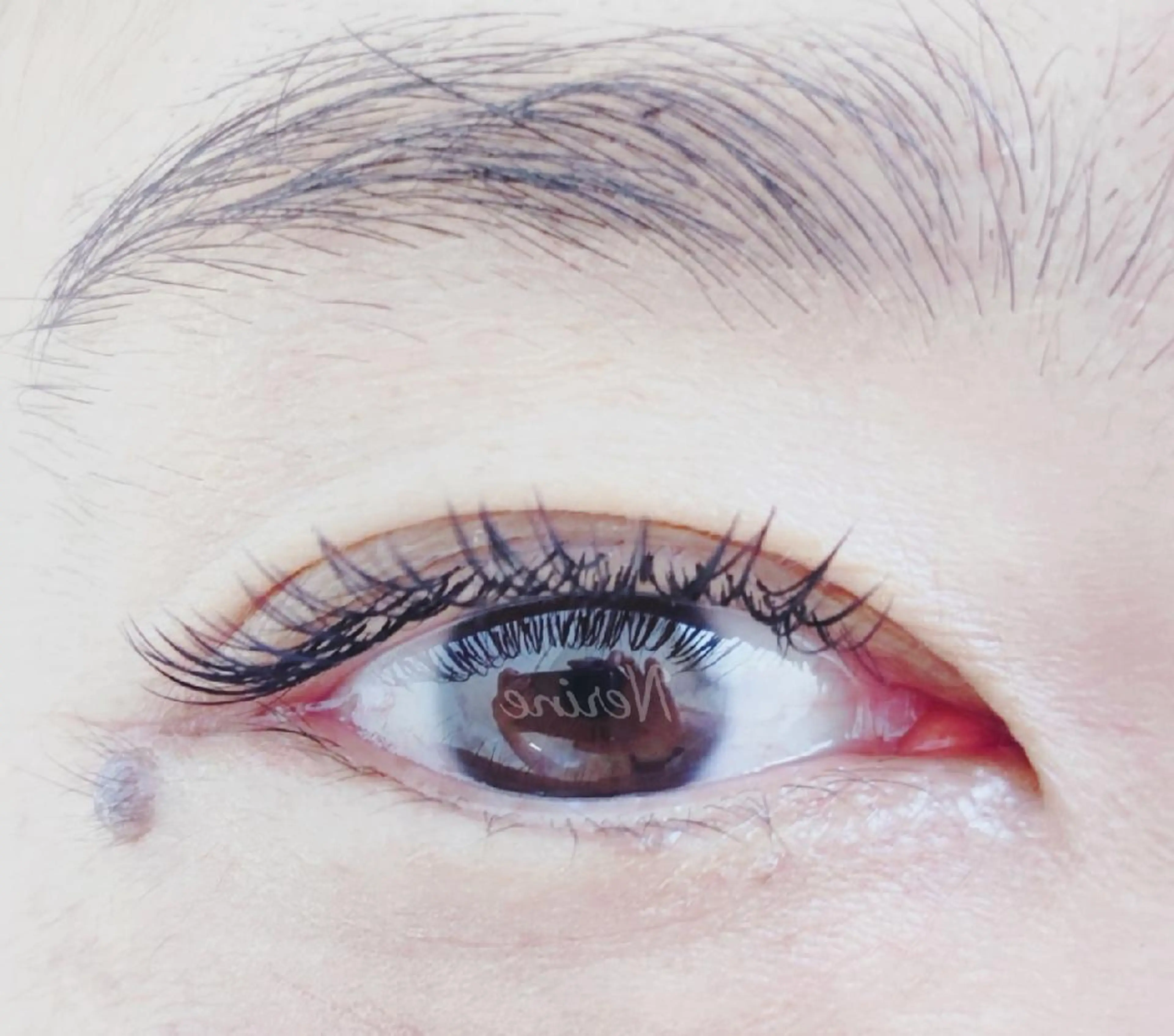 ダブルフラットラッシュ60束　付け足し可能の写真