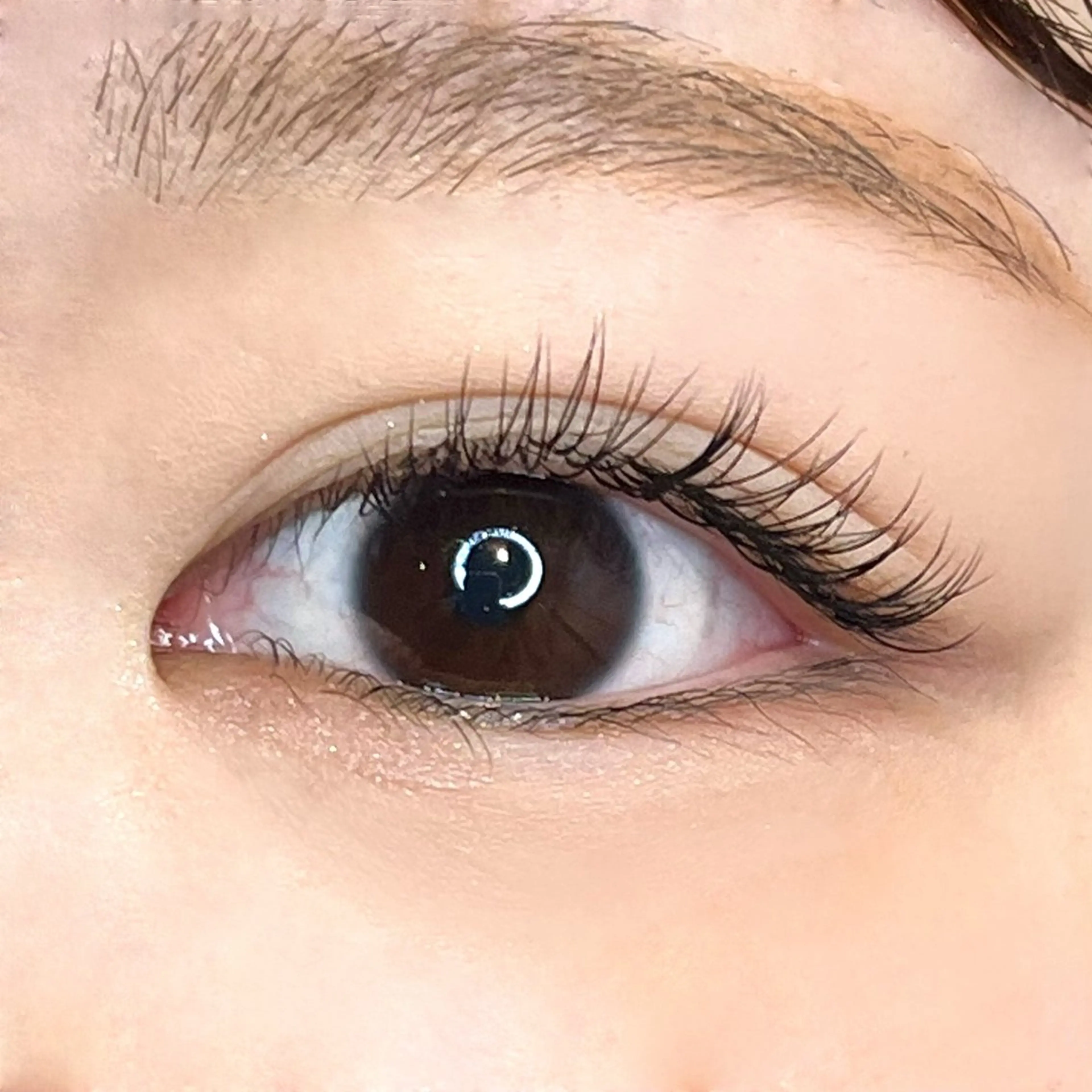 マツエク・マツパ Cカール narumi .のマツエク・マツパデザイン