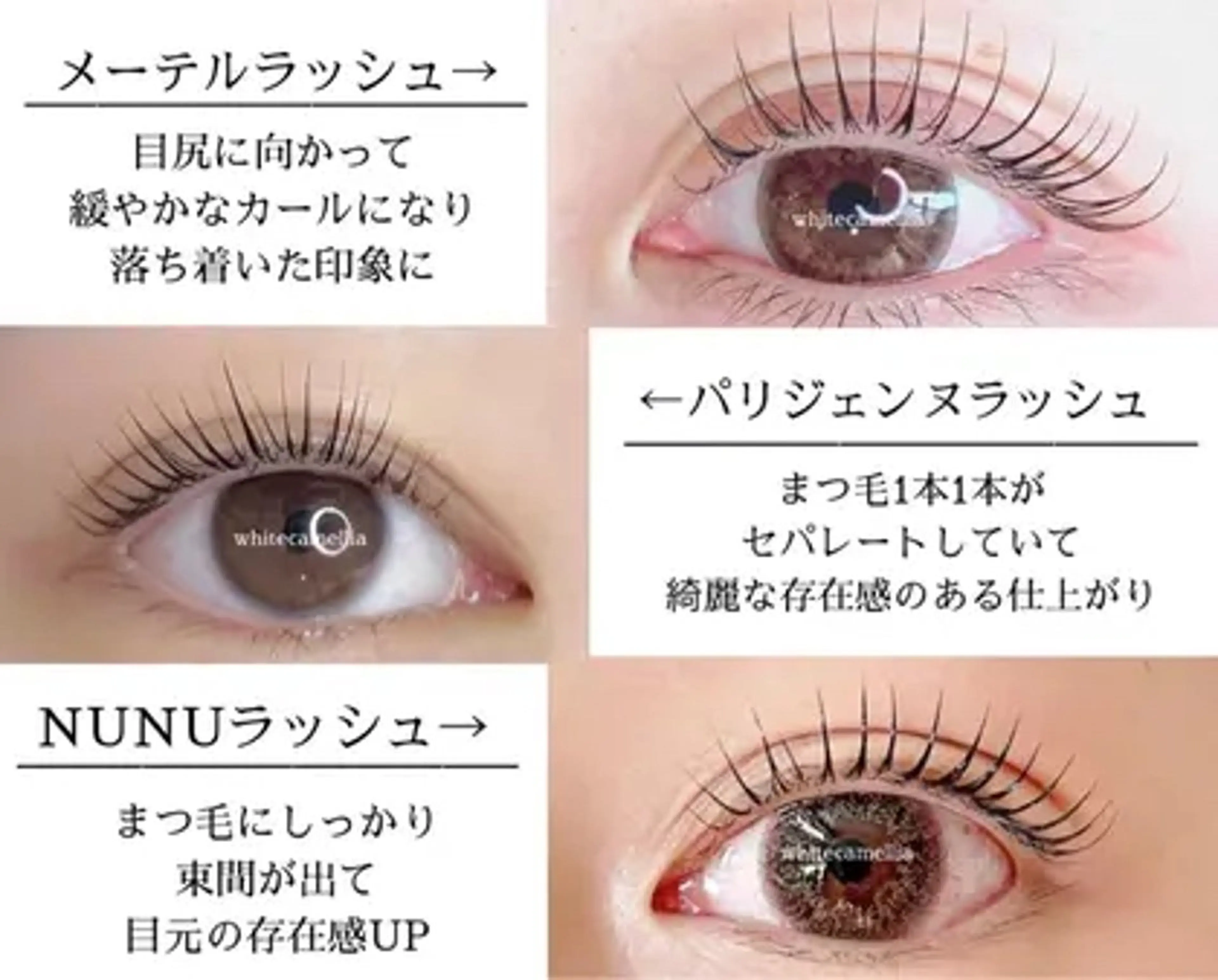 まつげパーマレッスンモデル募集中の写真