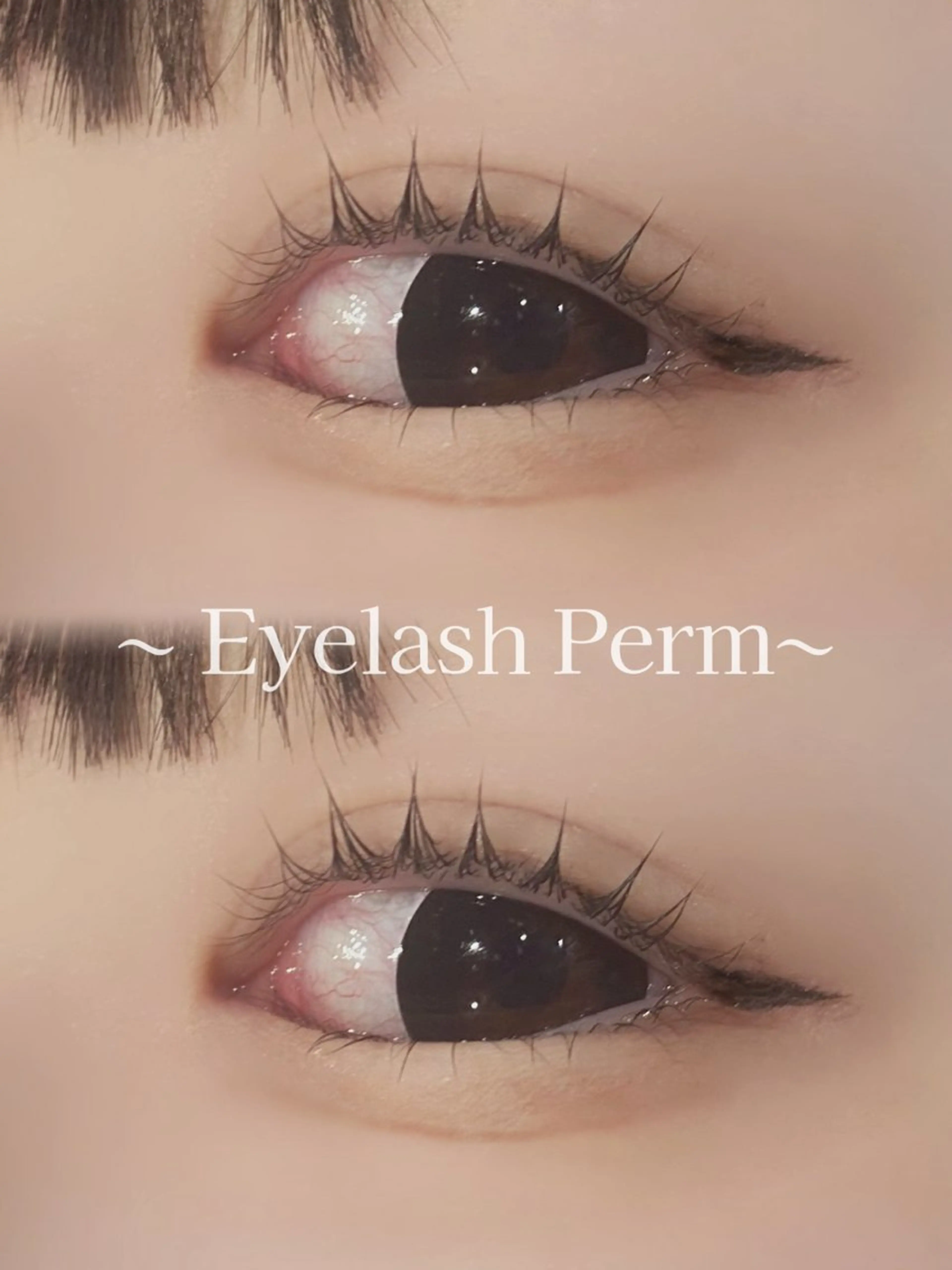 マツエク・マツパ eyelist SHIONのマツエク・マツパデザイン