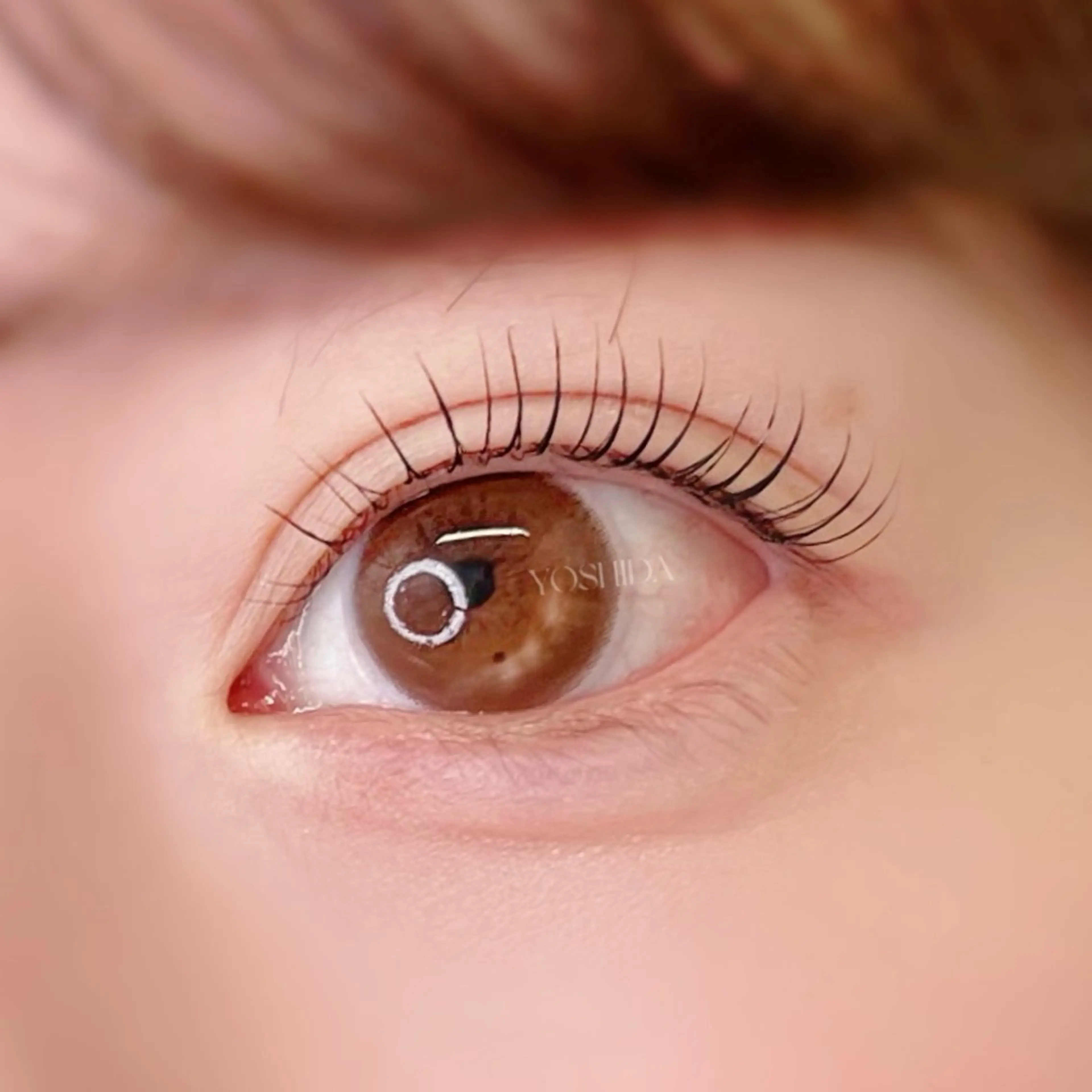 マツエク・マツパ マツパ 【一重┊︎奥二重】 YOSHIDA🌙の眉毛・アイブロウイメージ