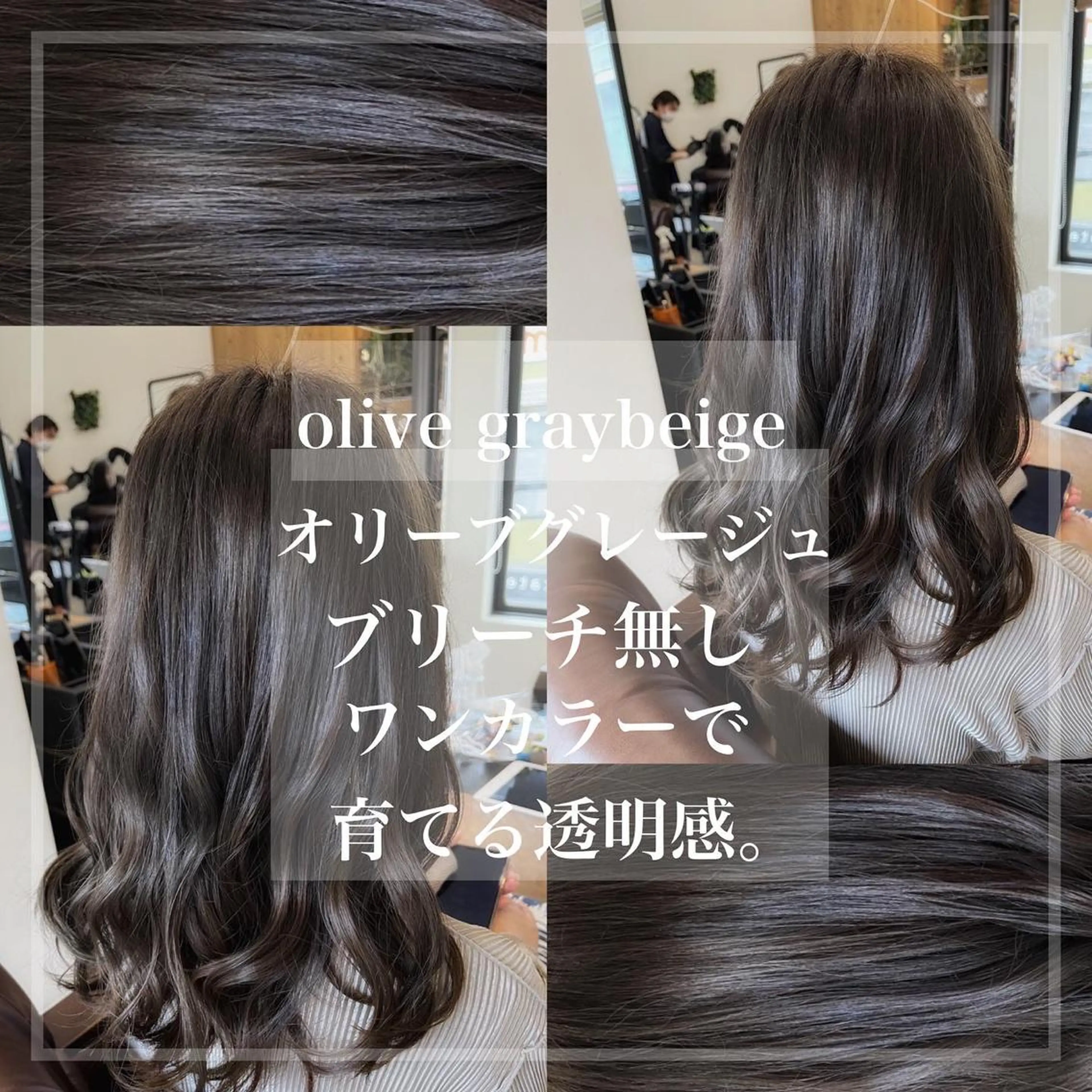 セミロング カラー グレージュ オリーブグレージュ オリーブグレー カット ヘアカラー トリートメント ヘアセット 🟢NEGi🟣 🫧髪質改善のヘアスタイル
