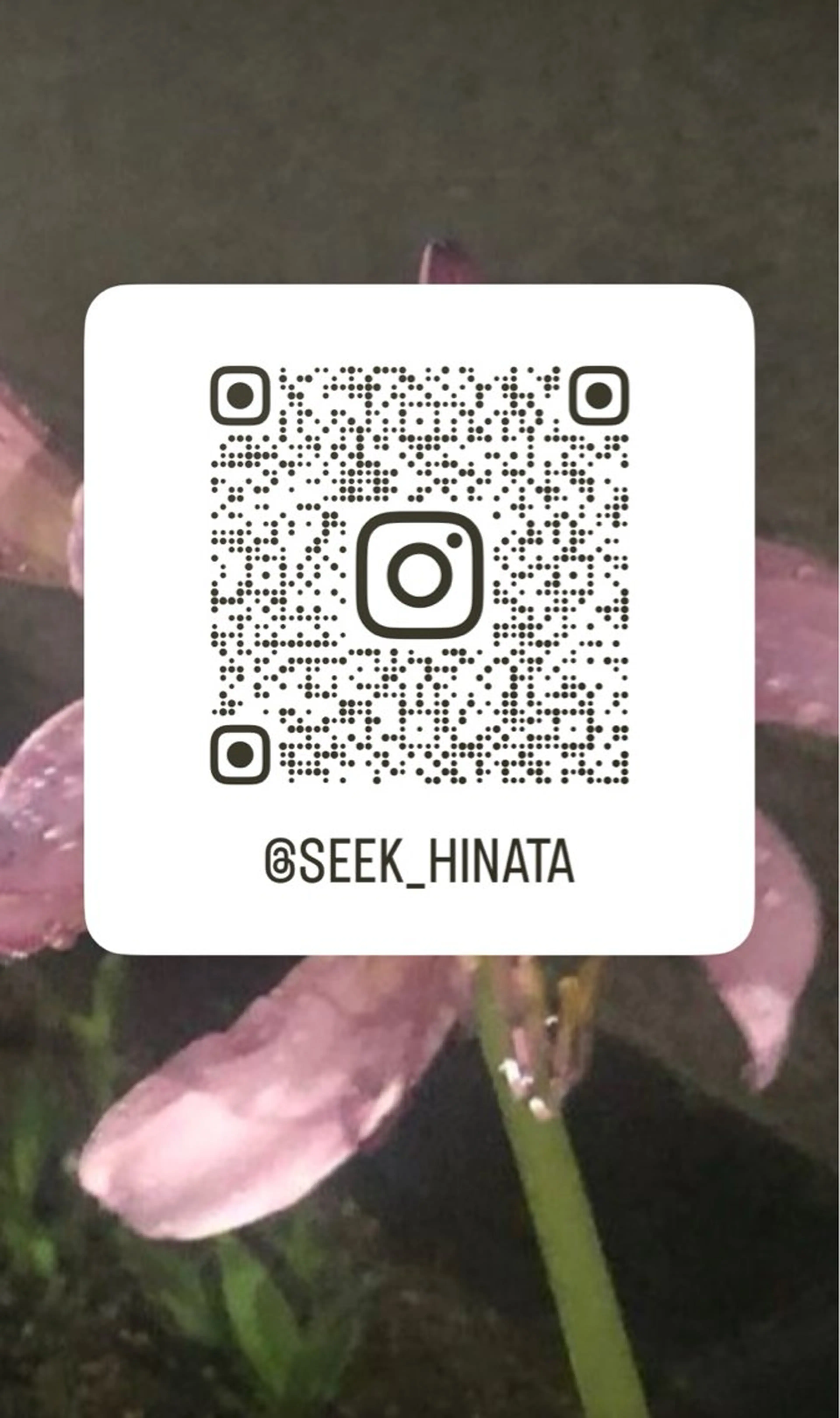 hinata･:* /seek nextのヘアスタイル