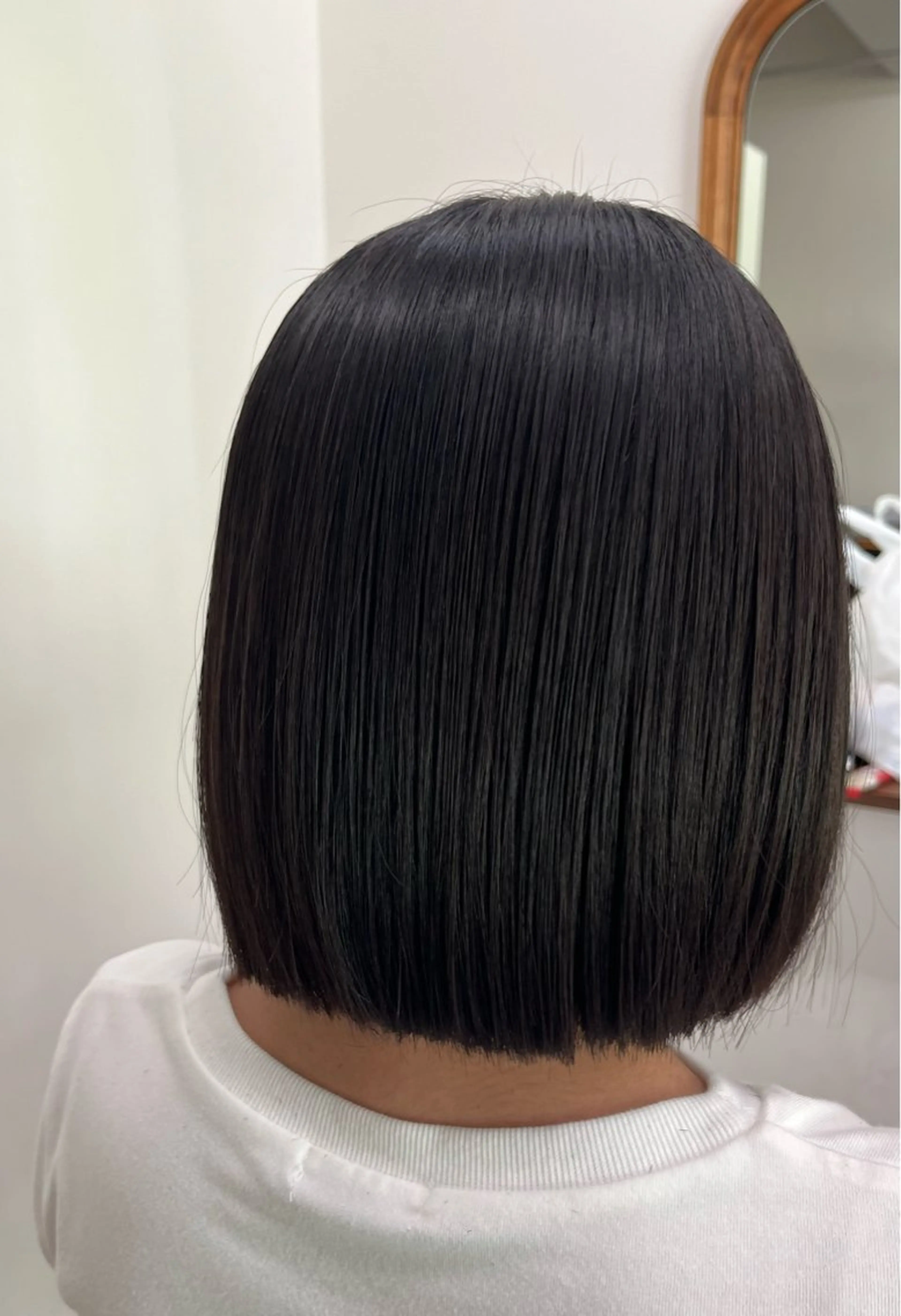 カットモデルの写真
