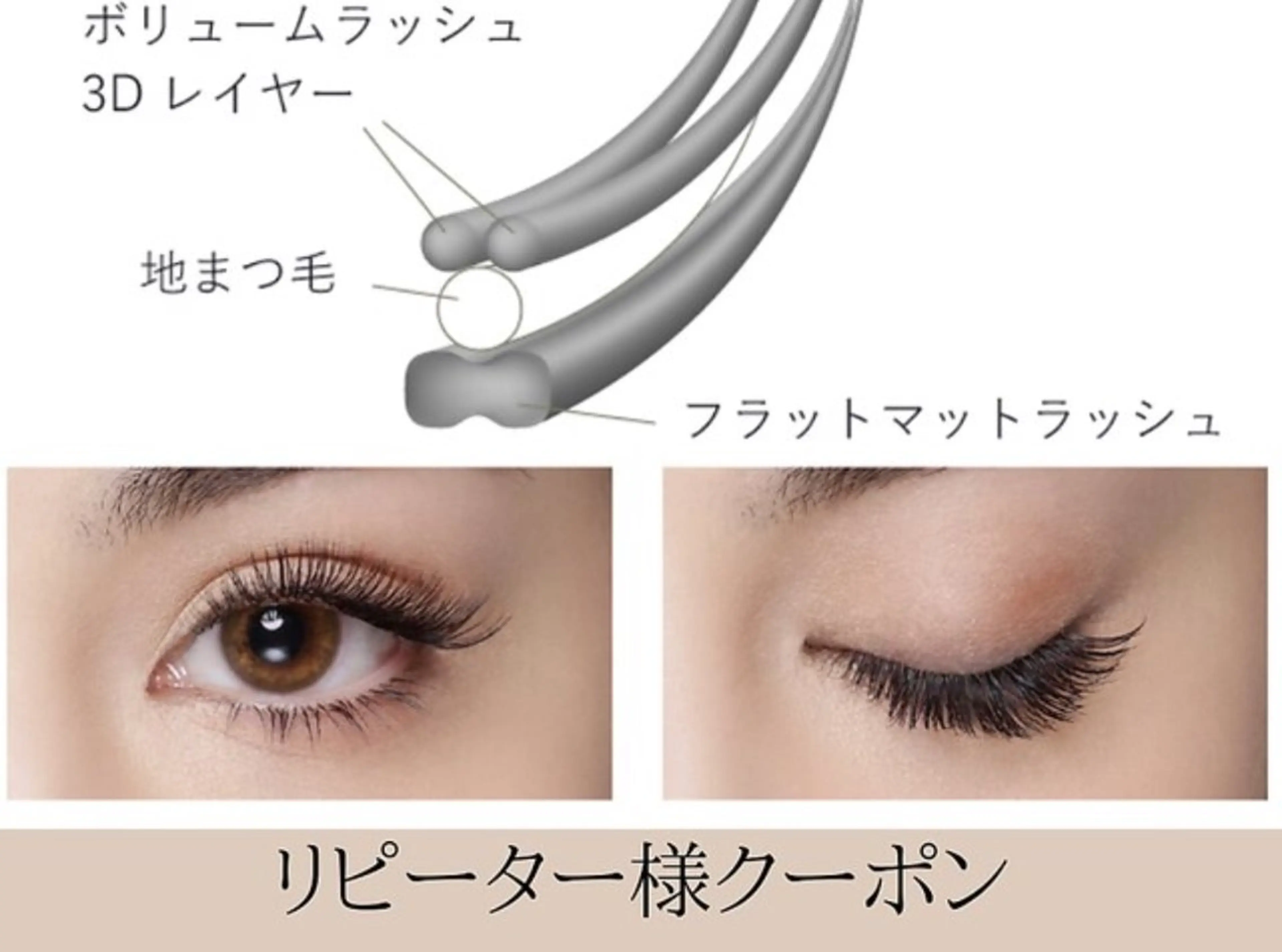 マツエク・マツパ Anela 🦋HARUMIの眉毛・アイブロウイメージ