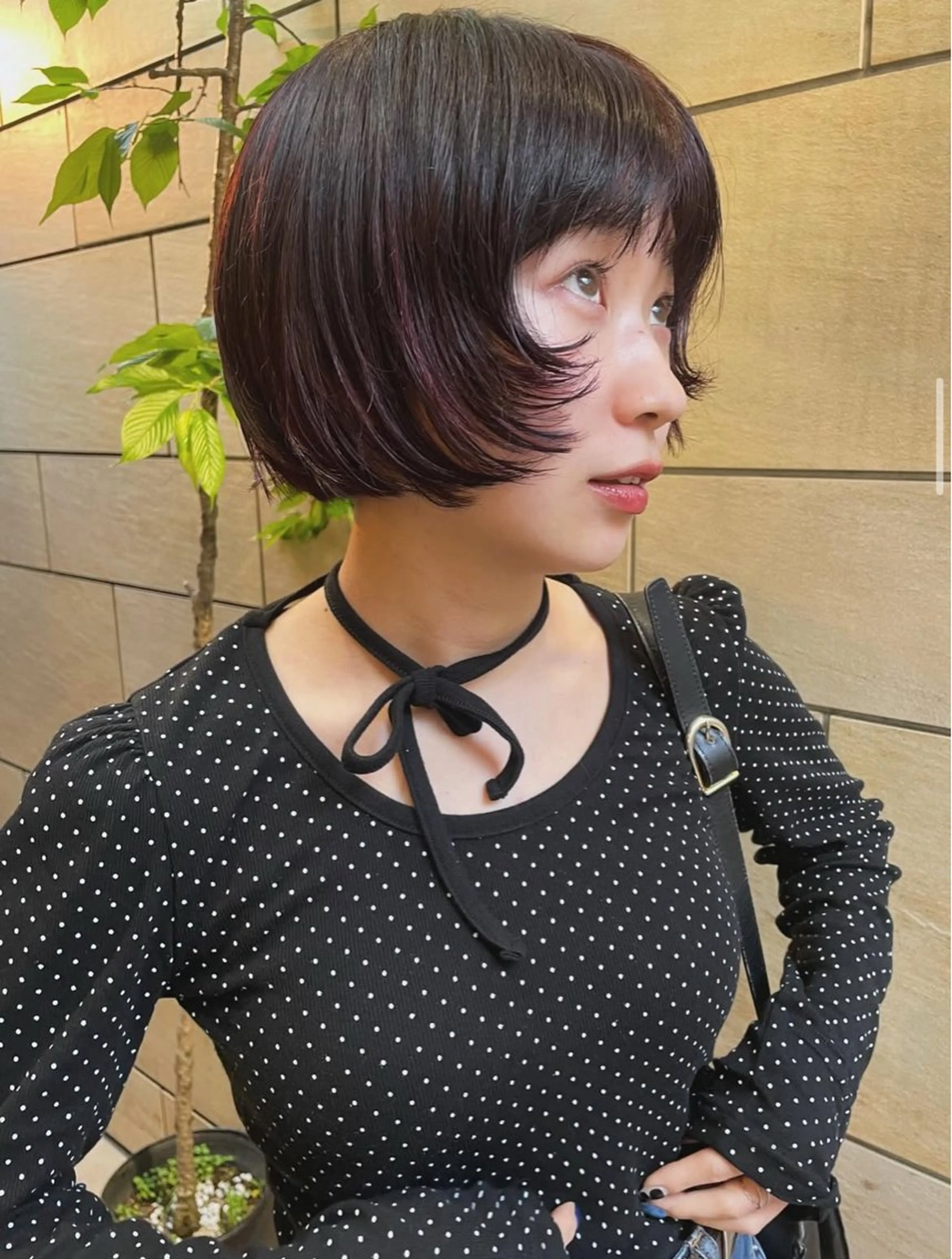 〘ボブ限定〙ブリーチなしワンカラーの写真