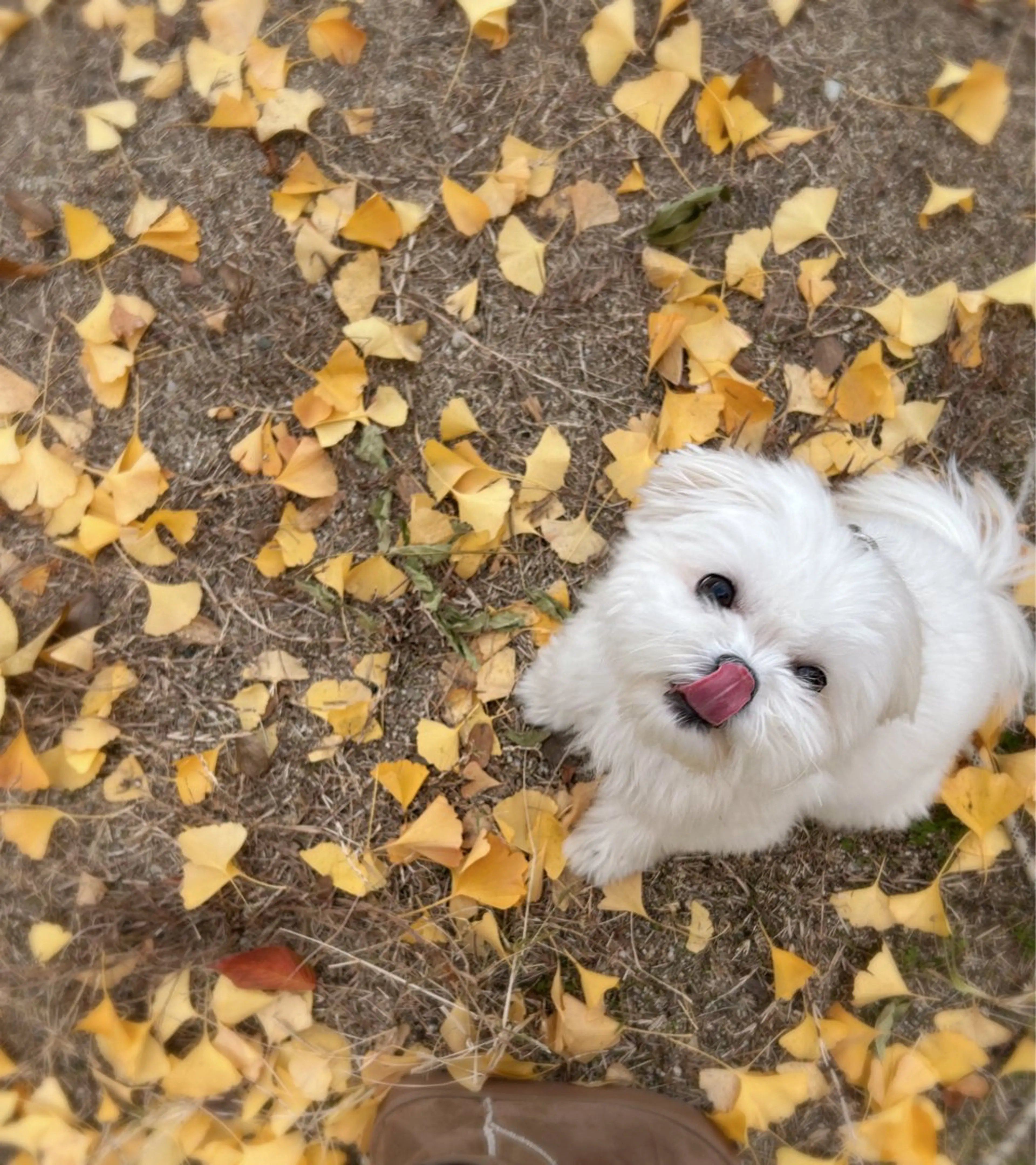 エステ 小顔×肌質改善サロン soin〔ソワン〕のエステ・リラクイメージ