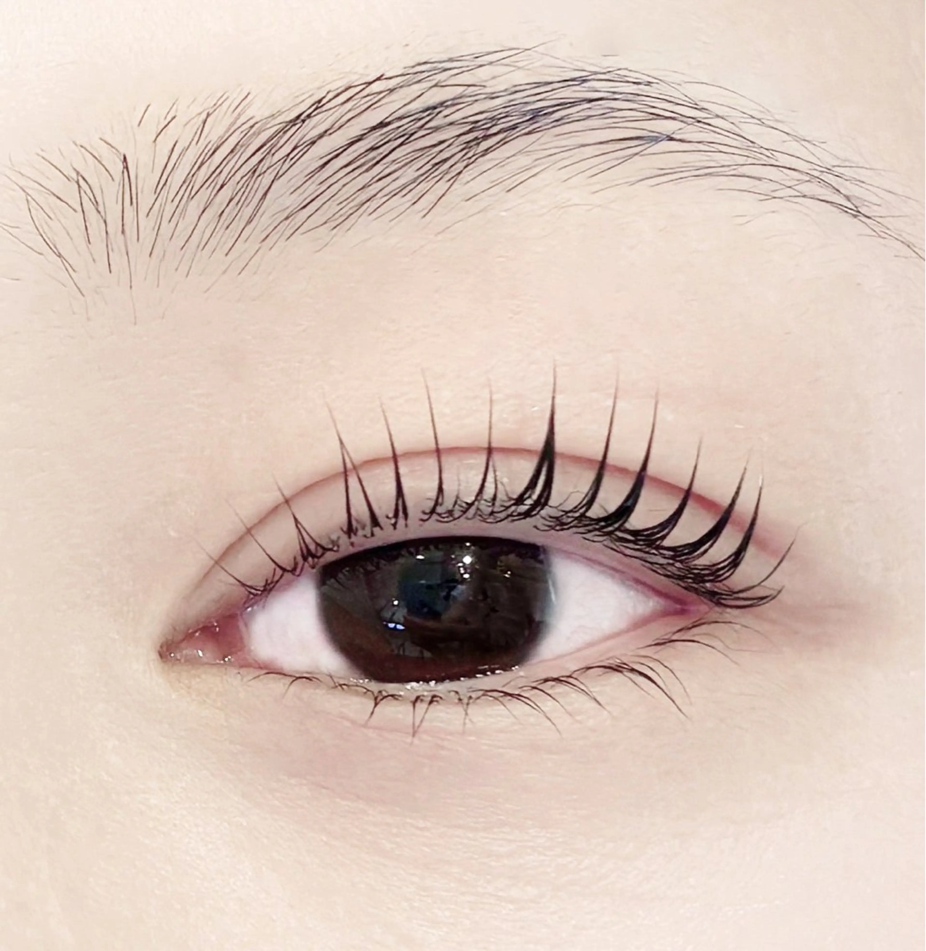 マツエク・マツパ 一重×まつ毛パーマ マツパ 【MISAKI】 ALRE♡小山店のマツエク・マツパデザイン