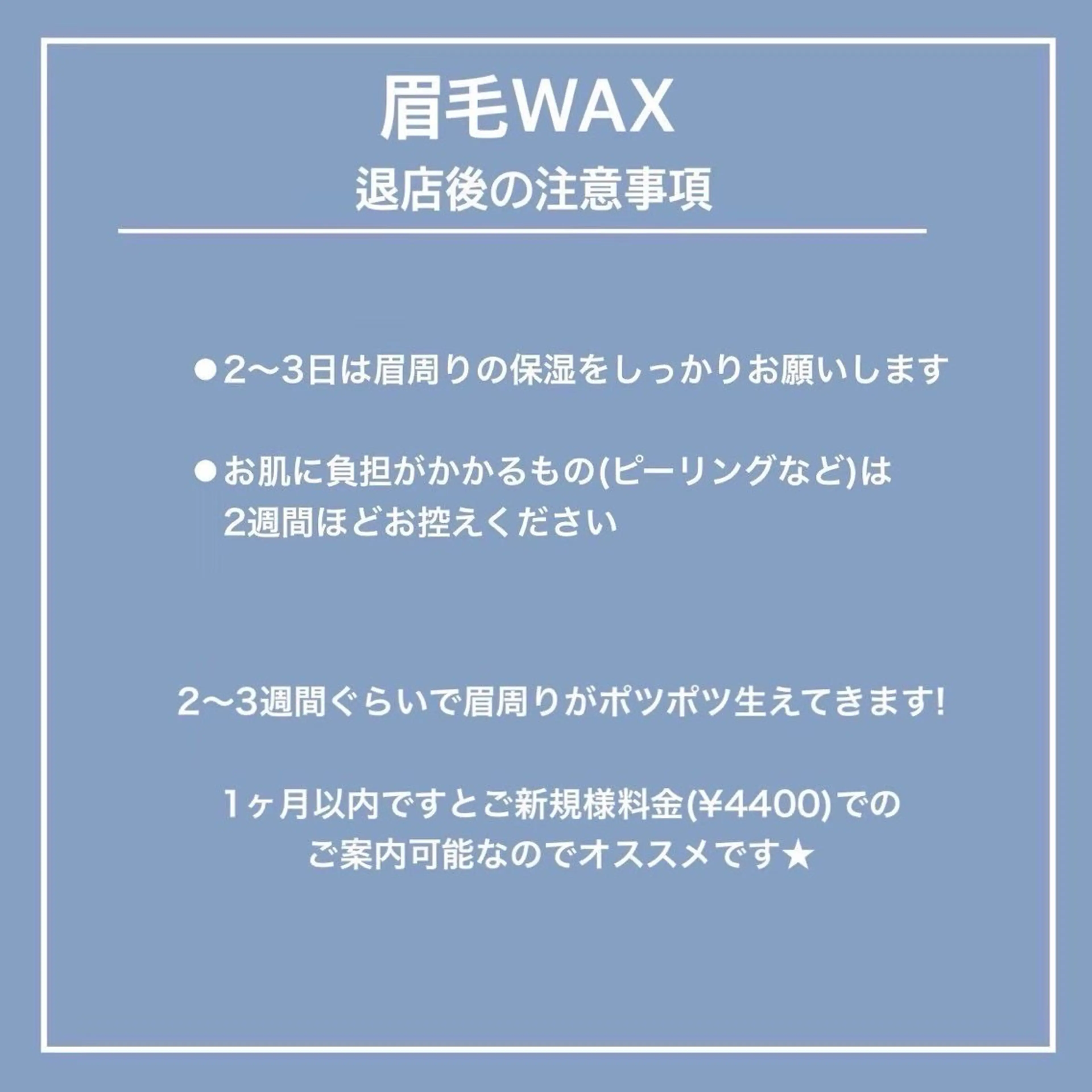 アイブロウ Lucia next所属・Lucia NEXT 坂口の眉毛・アイブロウイメージ