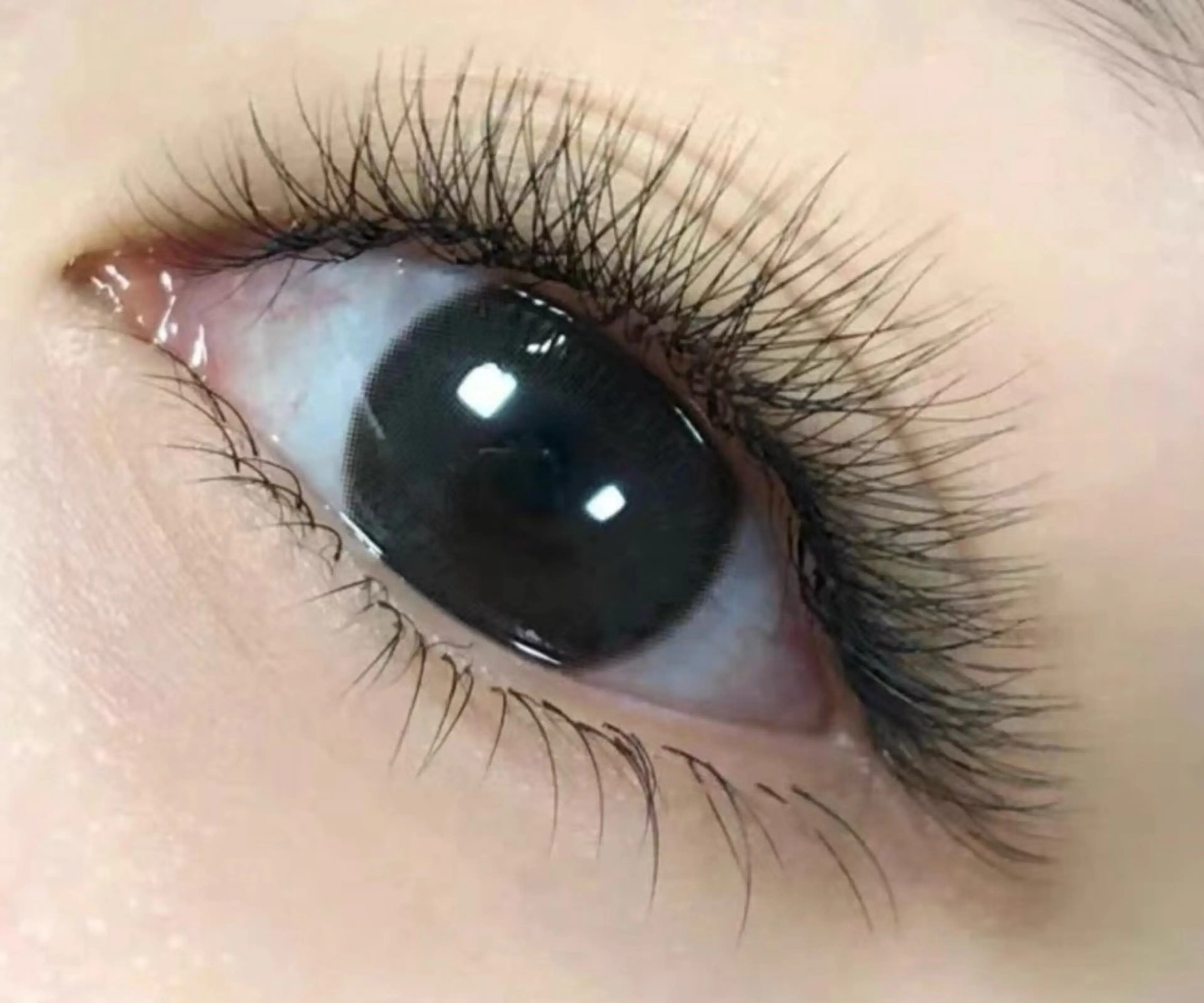 マツエク・マツパ 束感まつ毛 カラーマツエク フラットラッシュ パリジェンヌラッシュリフト まつげパーマ Yunabi池袋東口店所属・ユナビ ゆき🌸🌸のマツエク・マツパデザイン