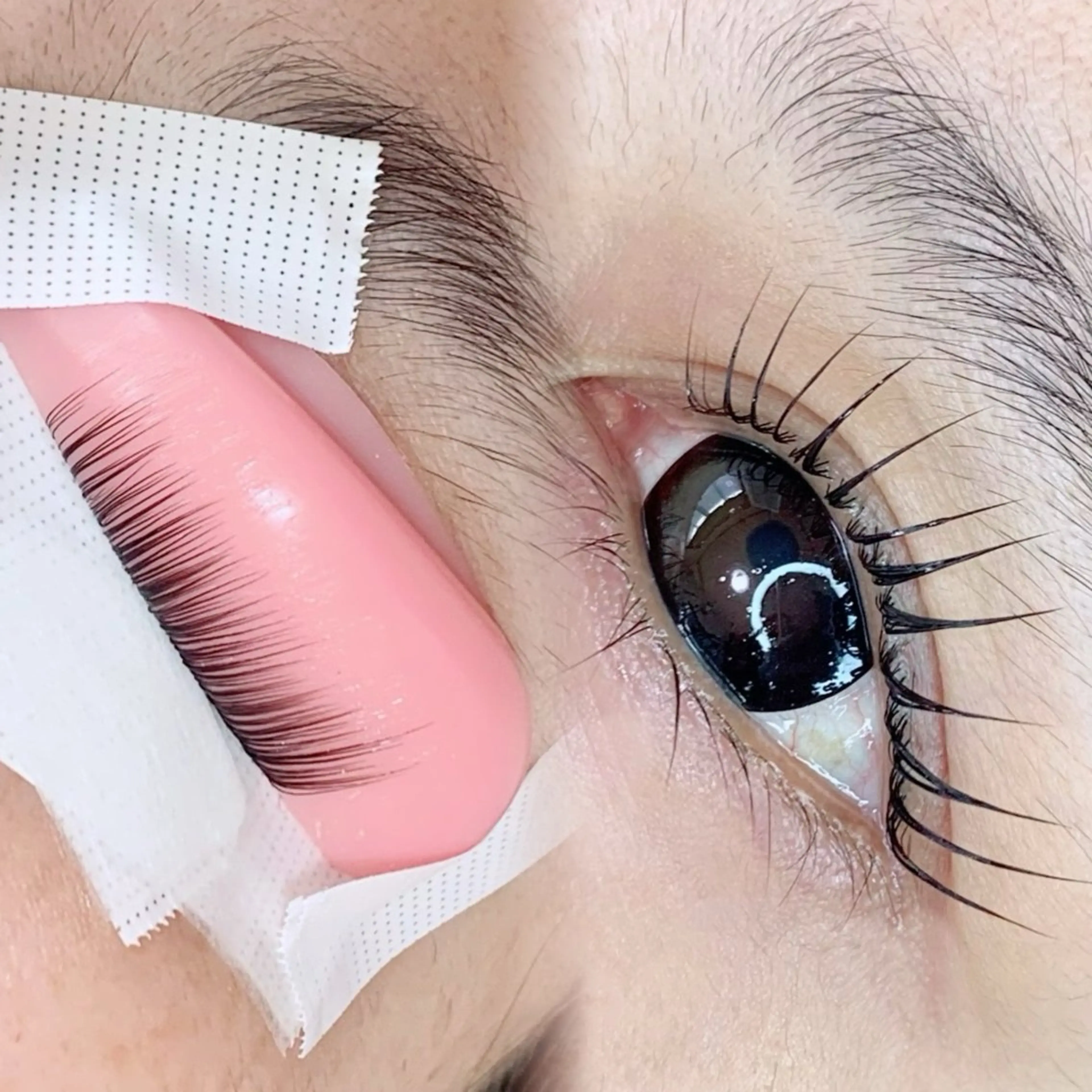 マツエク・マツパ マツパ chill&private A/N まつげパーマ/上下まつげパーマ/パリジェンヌ/南与野所属・まつげパーマ専門店 A/N南与野のマツエク・マツパデザイン