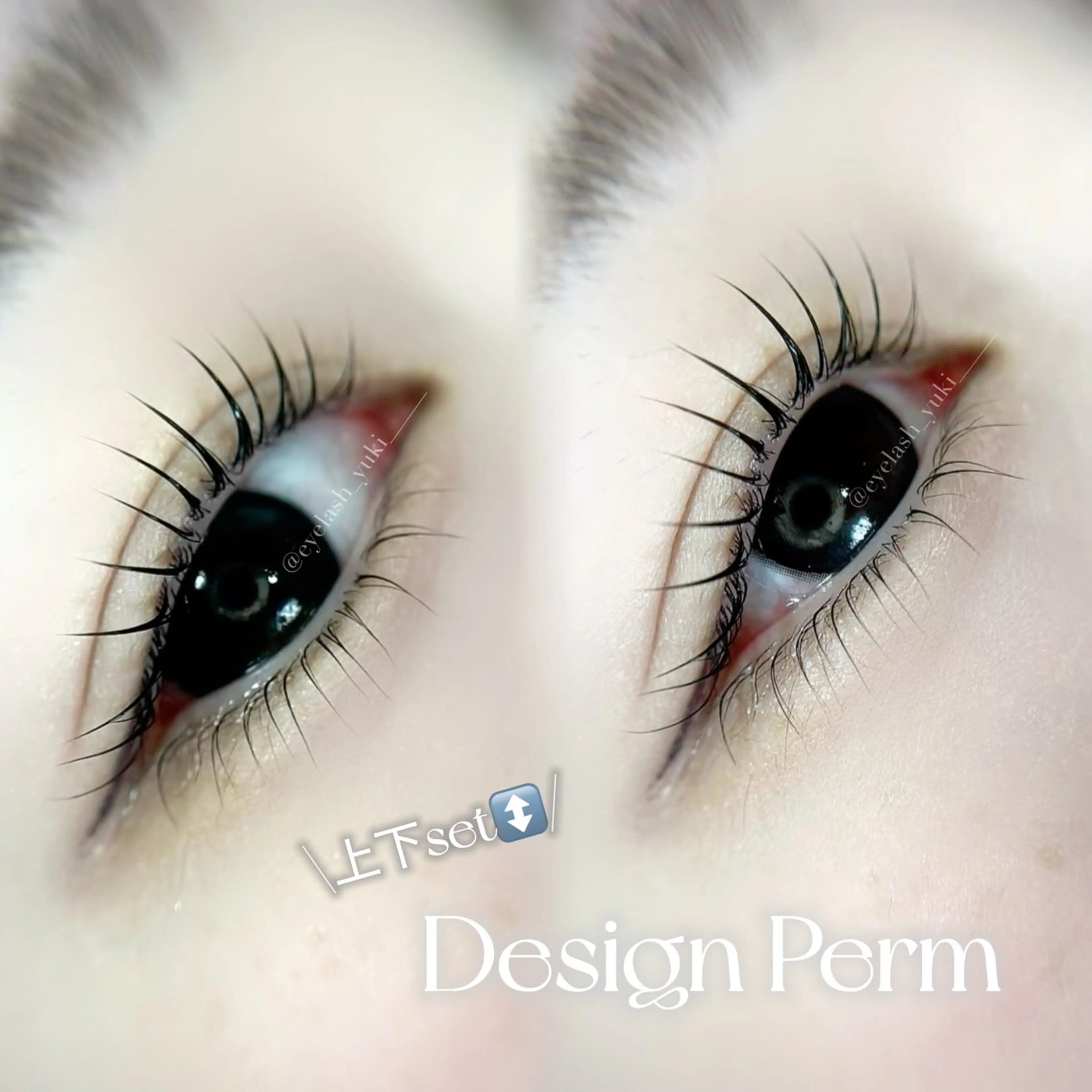 【中顔面短縮⚡️】上下まつ毛パーマ🦢の写真