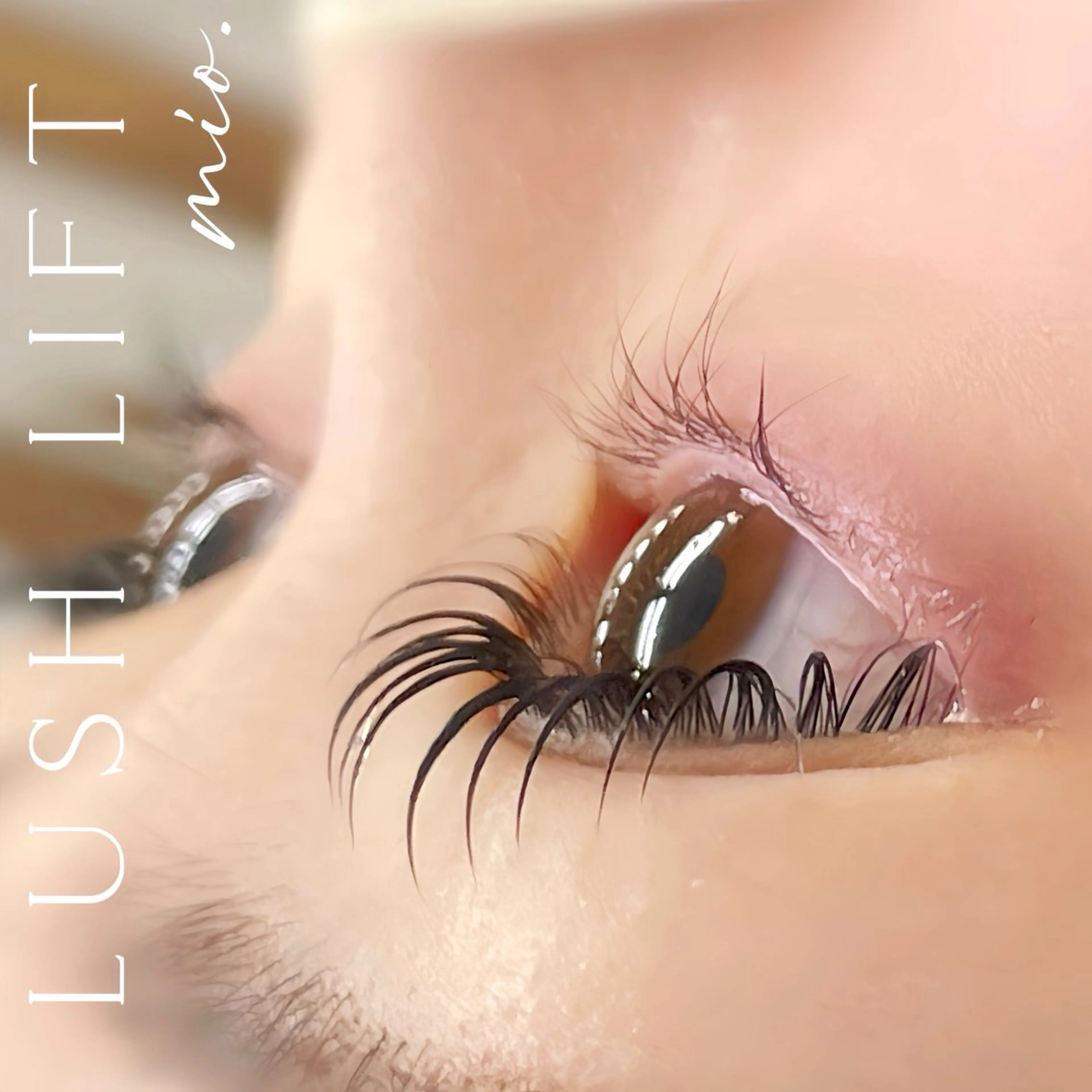 マツエク・マツパ フラットラッシュ 韓国風マツエク パリジェンヌラッシュリフト まつげパーマ 一重×まつ毛パーマ マツパ mai /マツパ.眉の眉毛・アイブロウイメージ