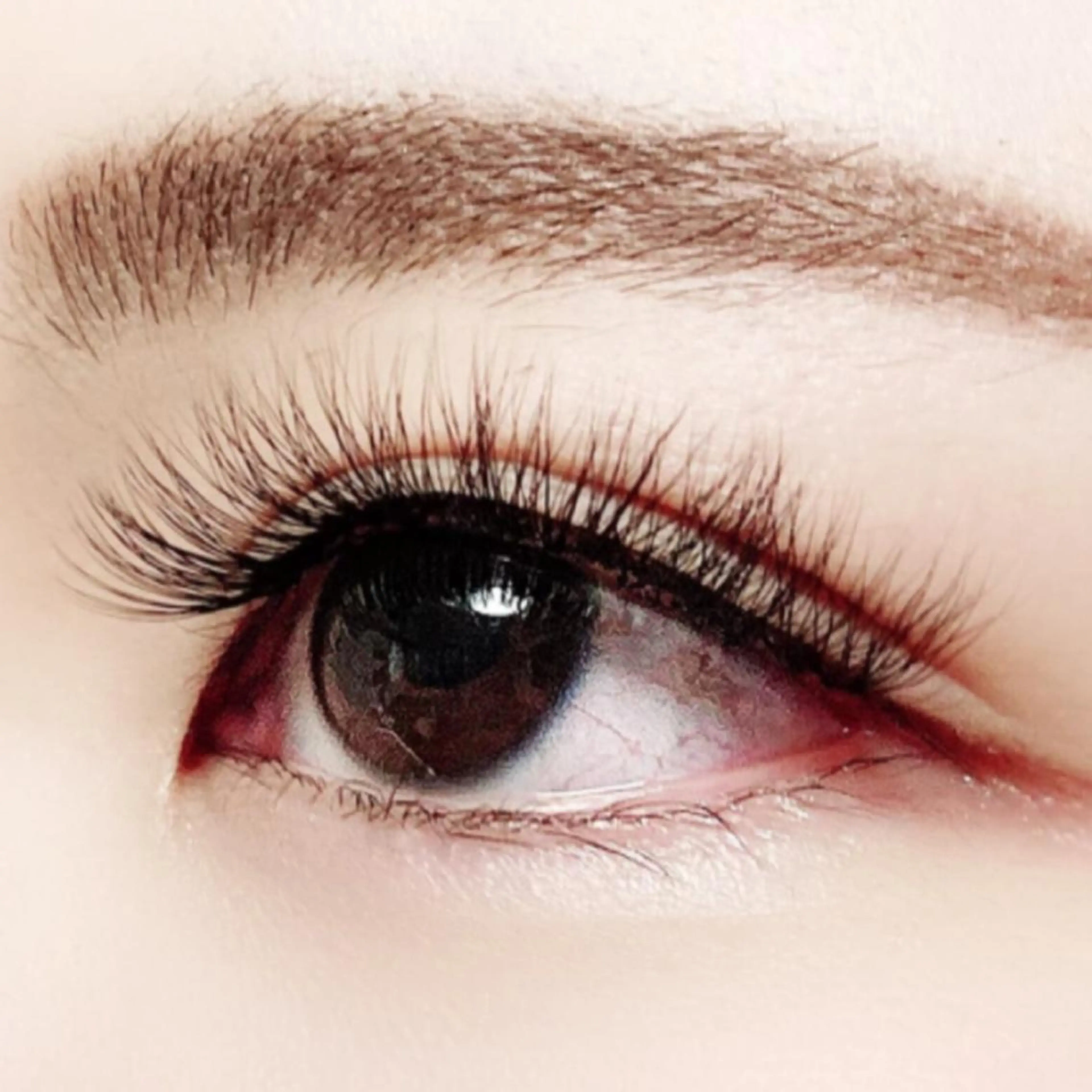 マツエク・マツパ Hase　本八幡 🧸マツエク専門🧸のマツエク・マツパデザイン