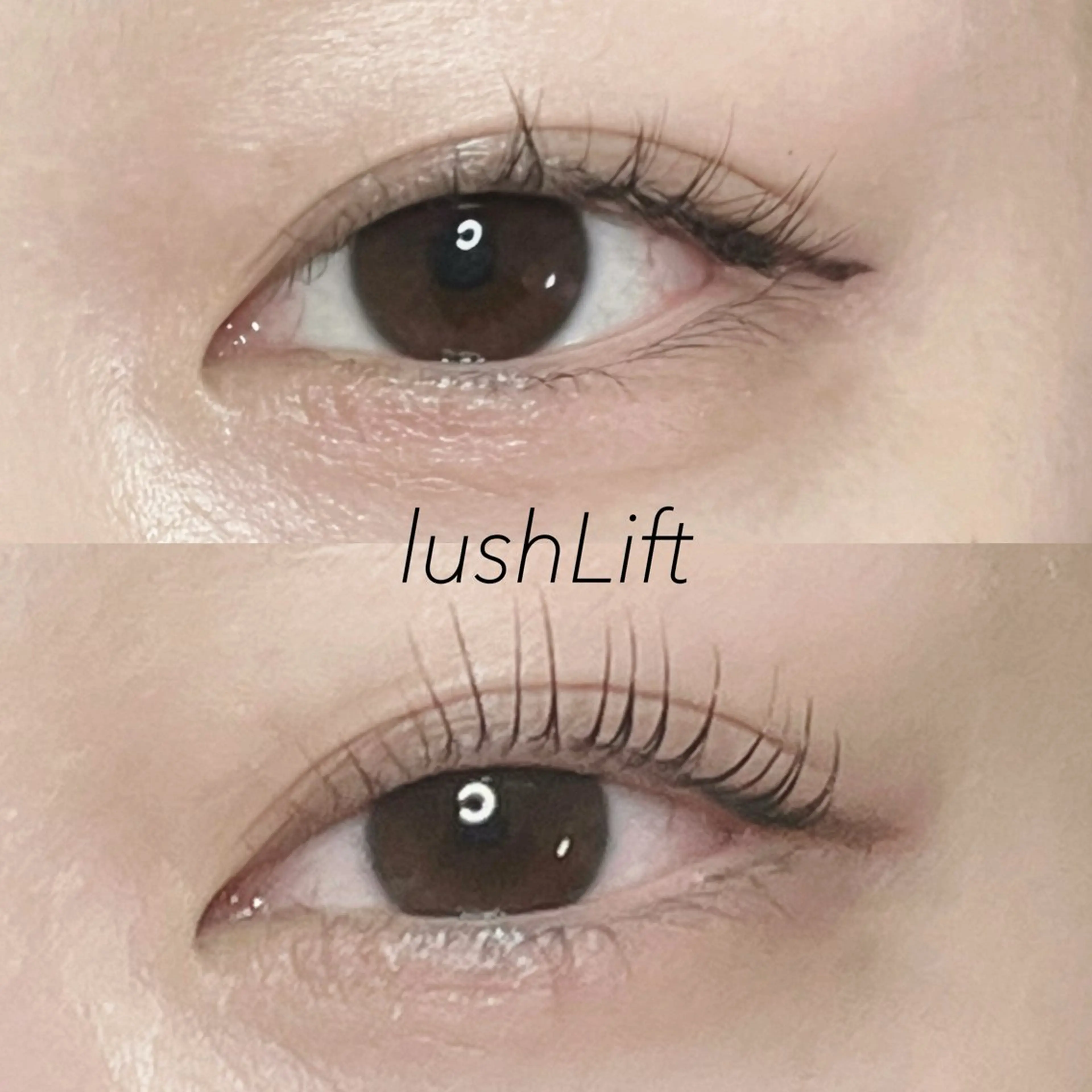 マツエク・マツパ パリジェンヌラッシュリフト Selas  by Lino.所属・Selas mmの眉毛・アイブロウイメージ