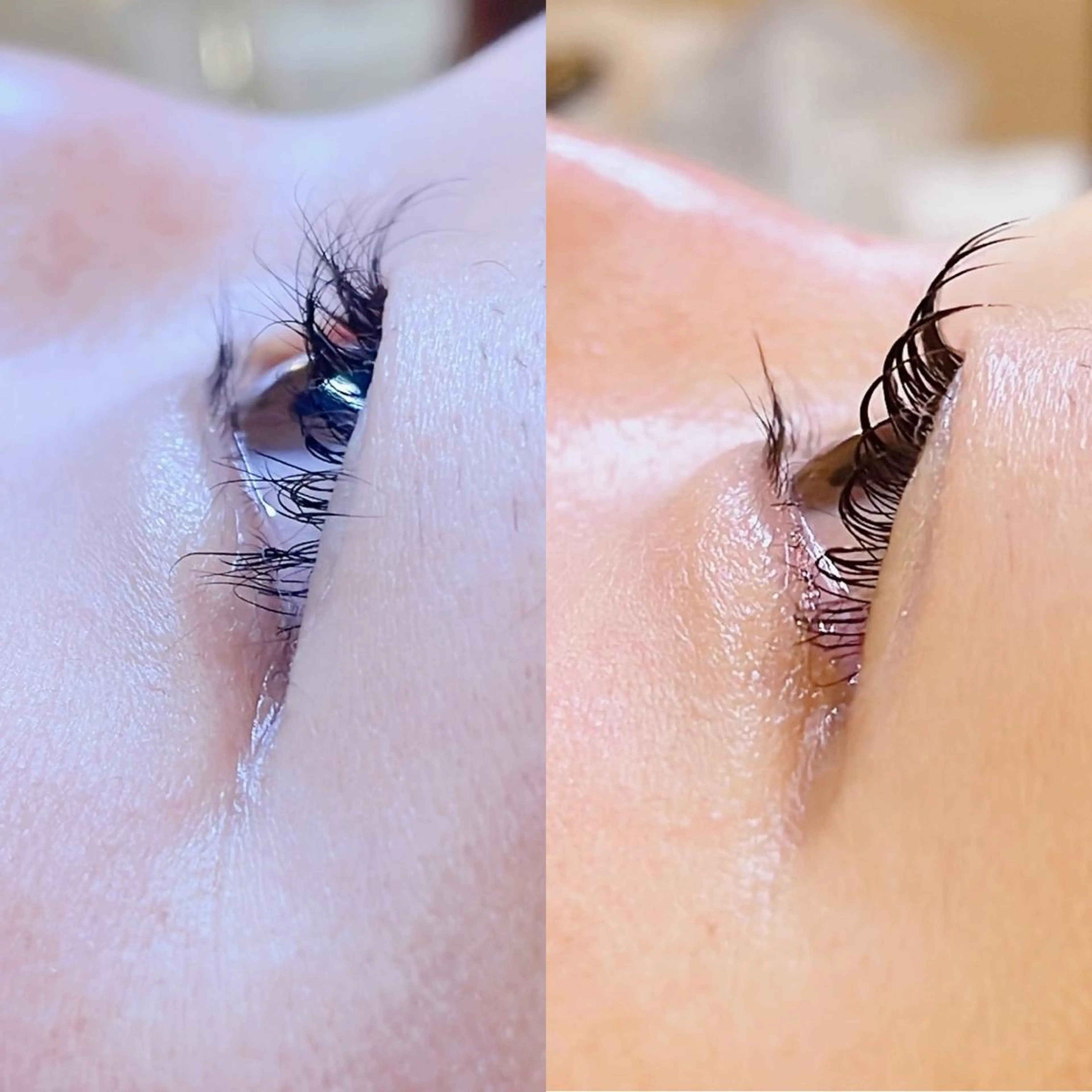 マツエク・マツパ マツパ ロニセラ アイラッシュのマツエク・マツパデザイン