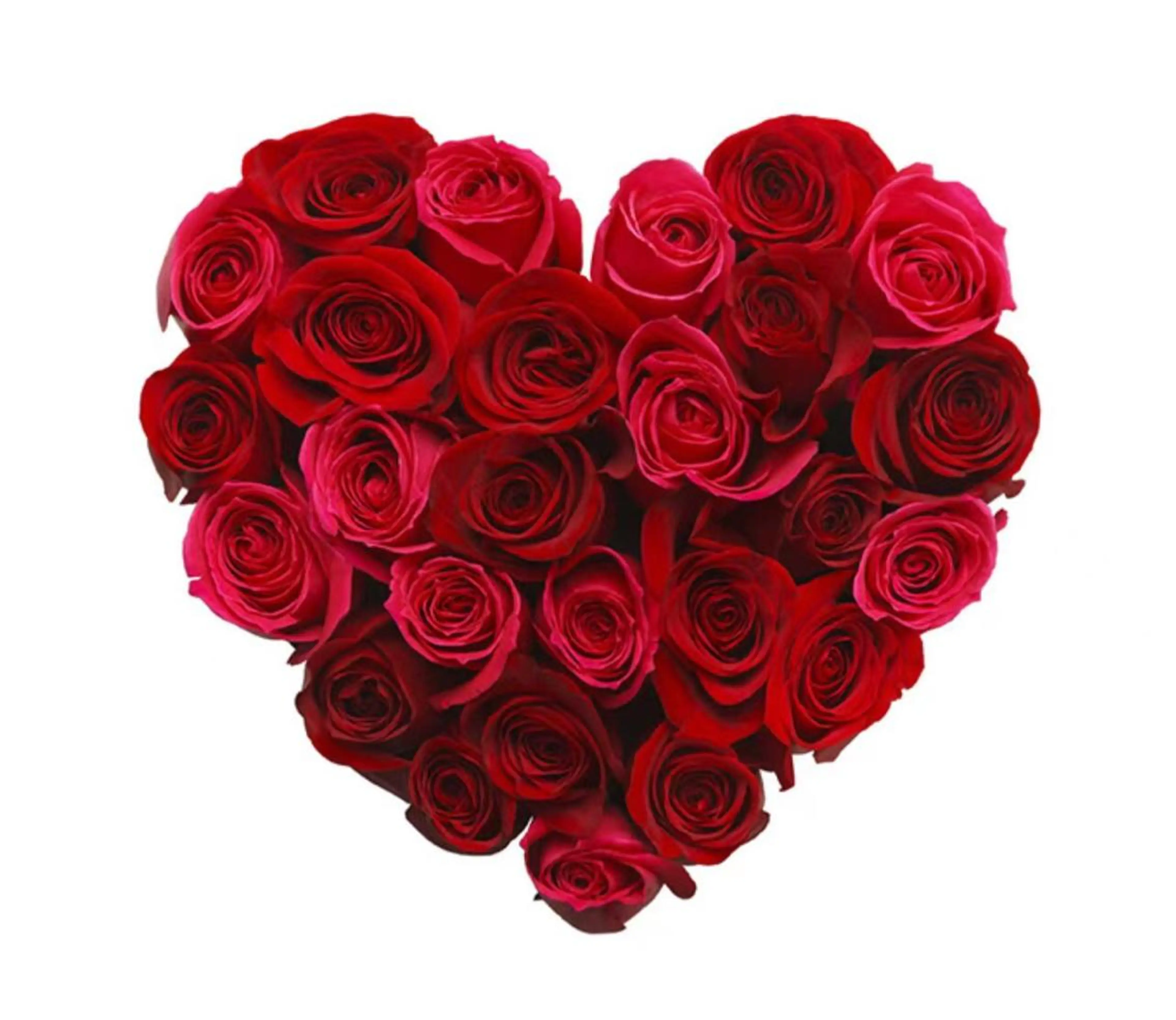 トータルビューティー サロンワンダーのマツエク・マツパデザイン