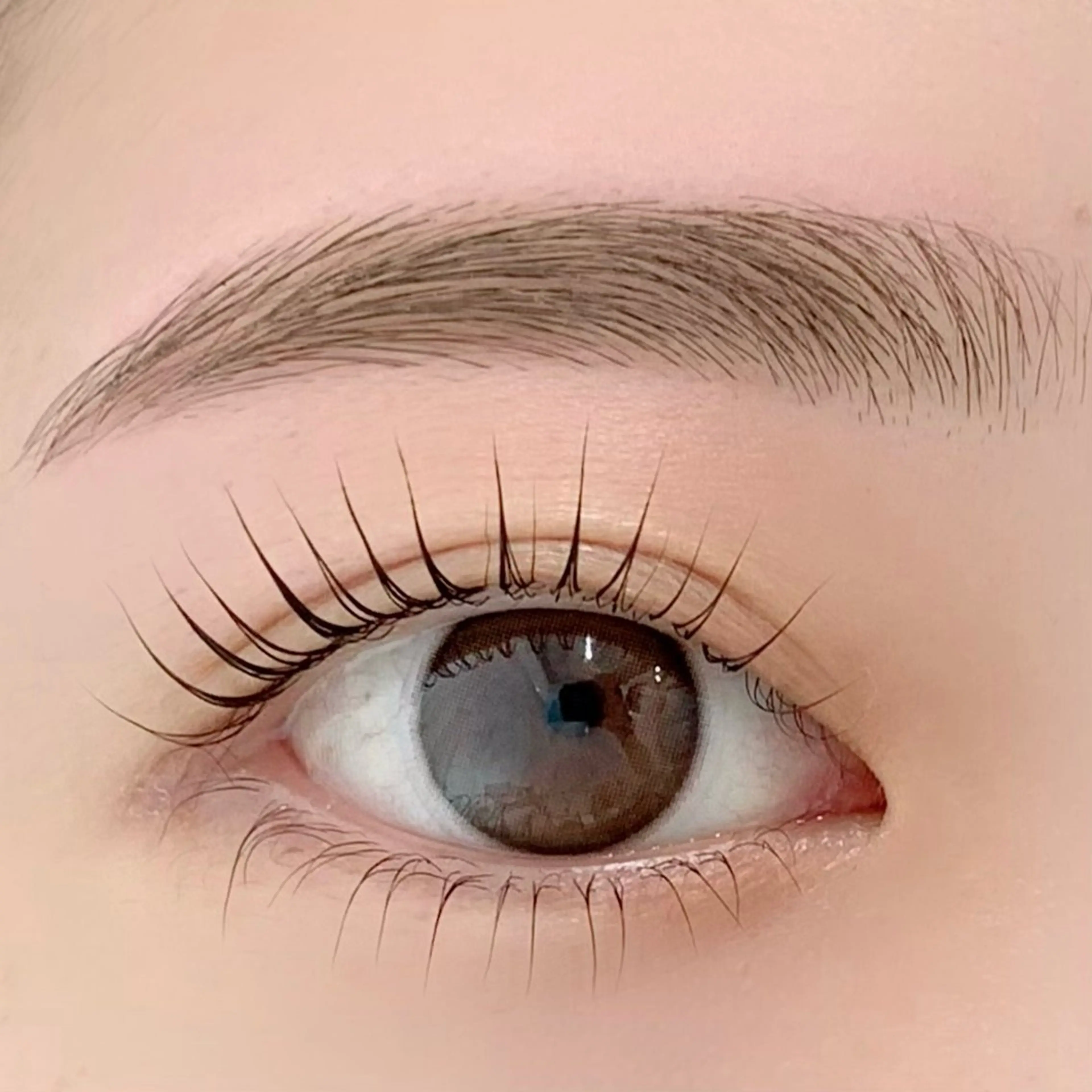 マツエク・マツパ ケラチンラッシュリフト ブラウンラッシュ カラーマツエク Jカール ナチュラル BellFlower Aki（眉・まつげ）のマツエク・マツパデザイン