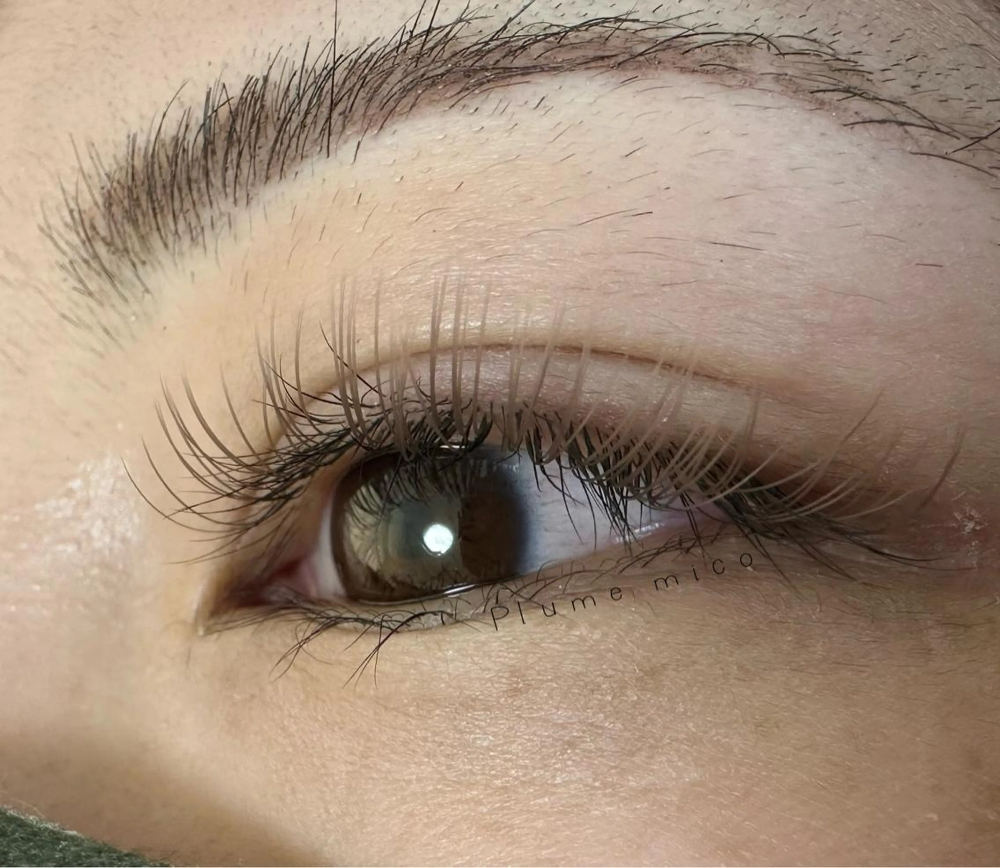 マツエク・マツパ マツエク Plume micoのマツエク・マツパデザイン