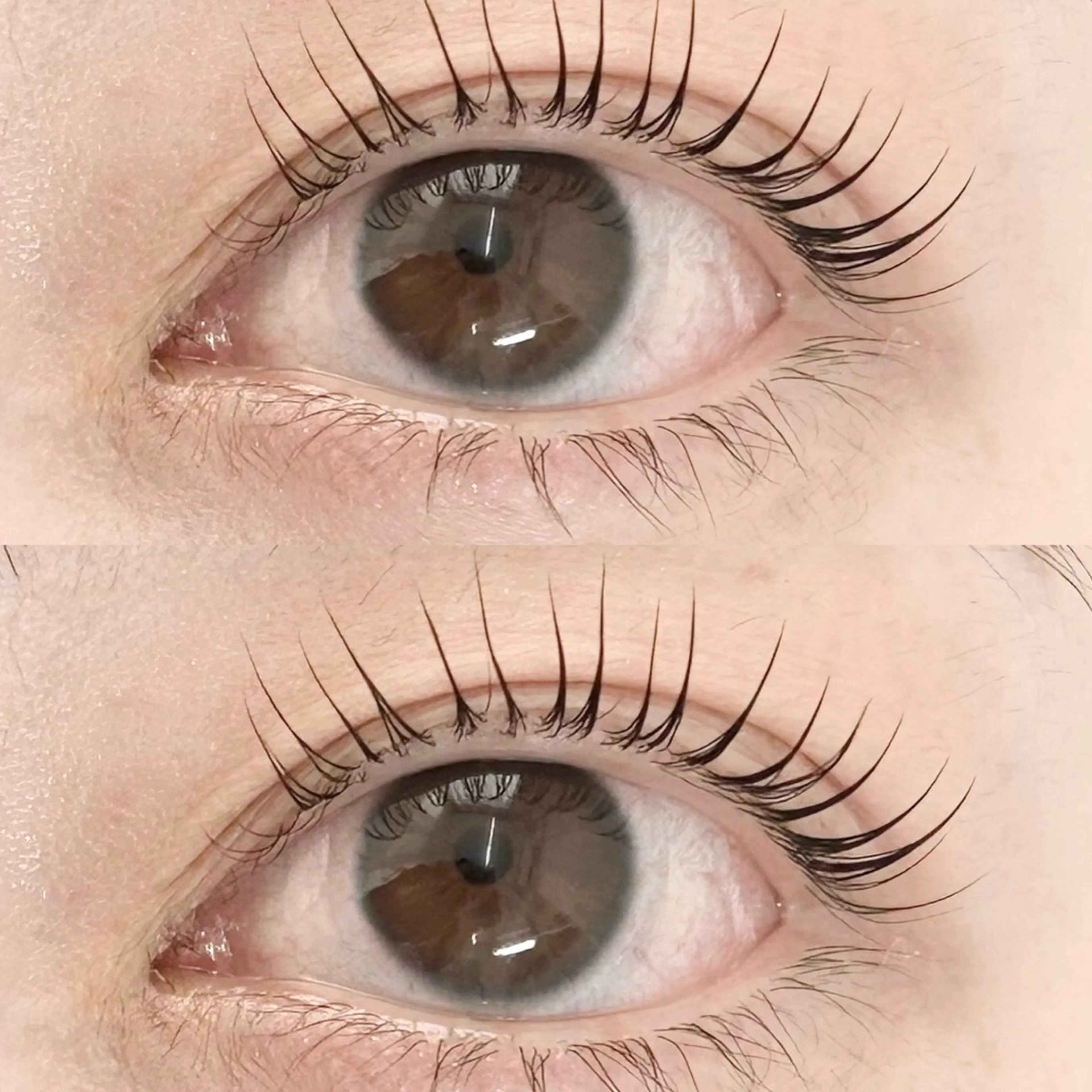 マツエク・マツパ マツパ LuLu / まつパ 🥀akaneのマツエク・マツパデザイン