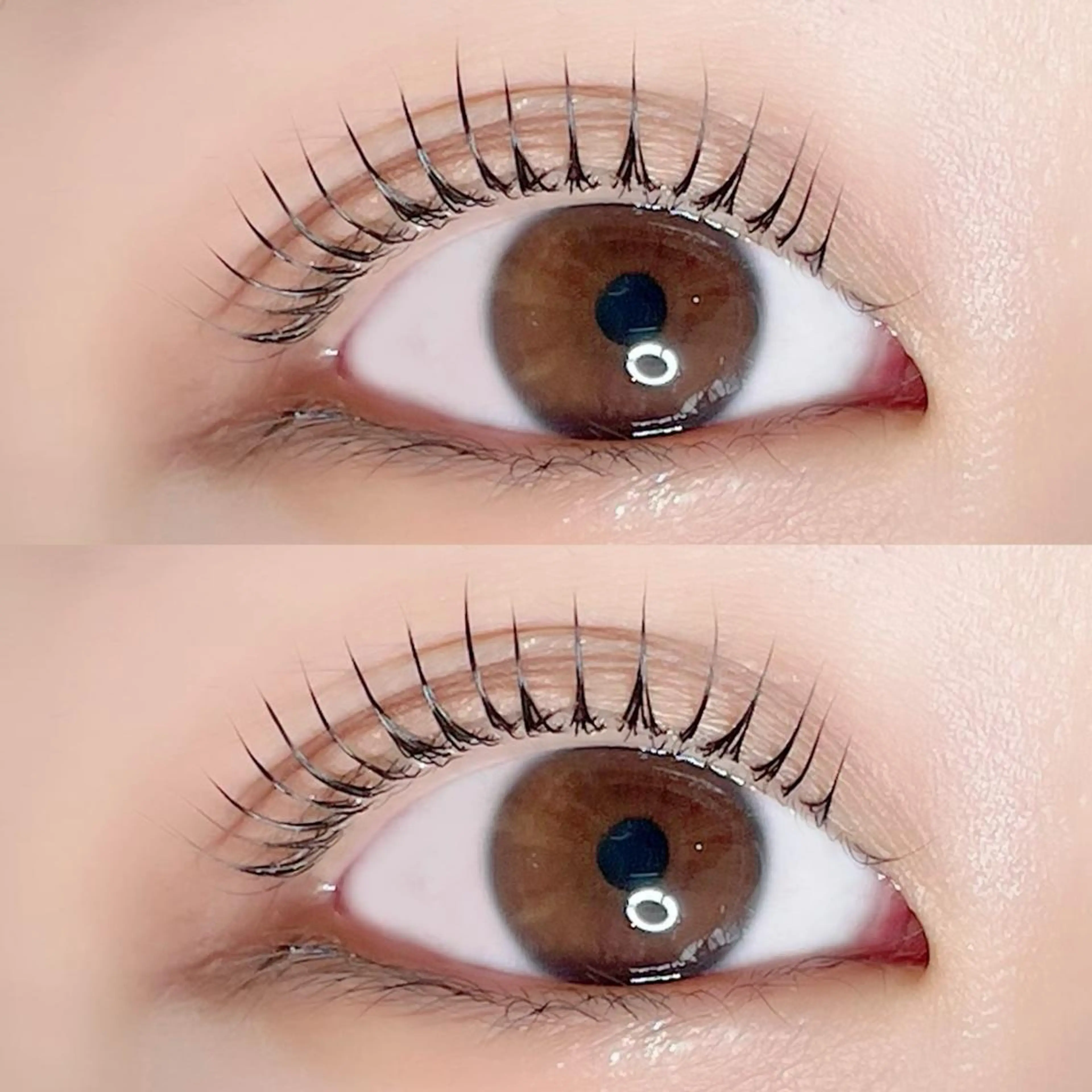 マツエク・マツパ マツパ AYLASH🧡 猪又のマツエク・マツパデザイン