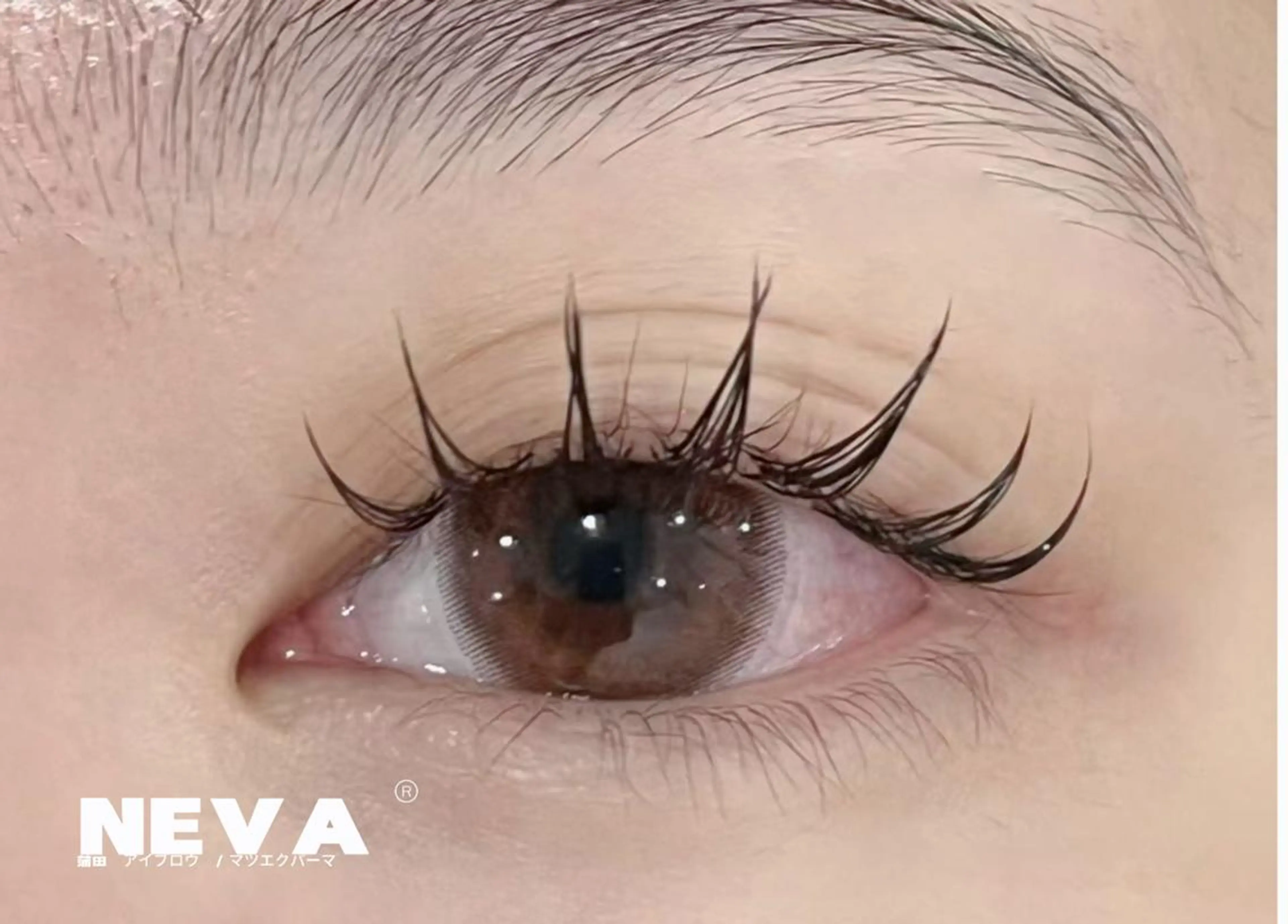 マツエク・マツパ 蒲田NEVA nai l&eyelashのマツエク・マツパデザイン