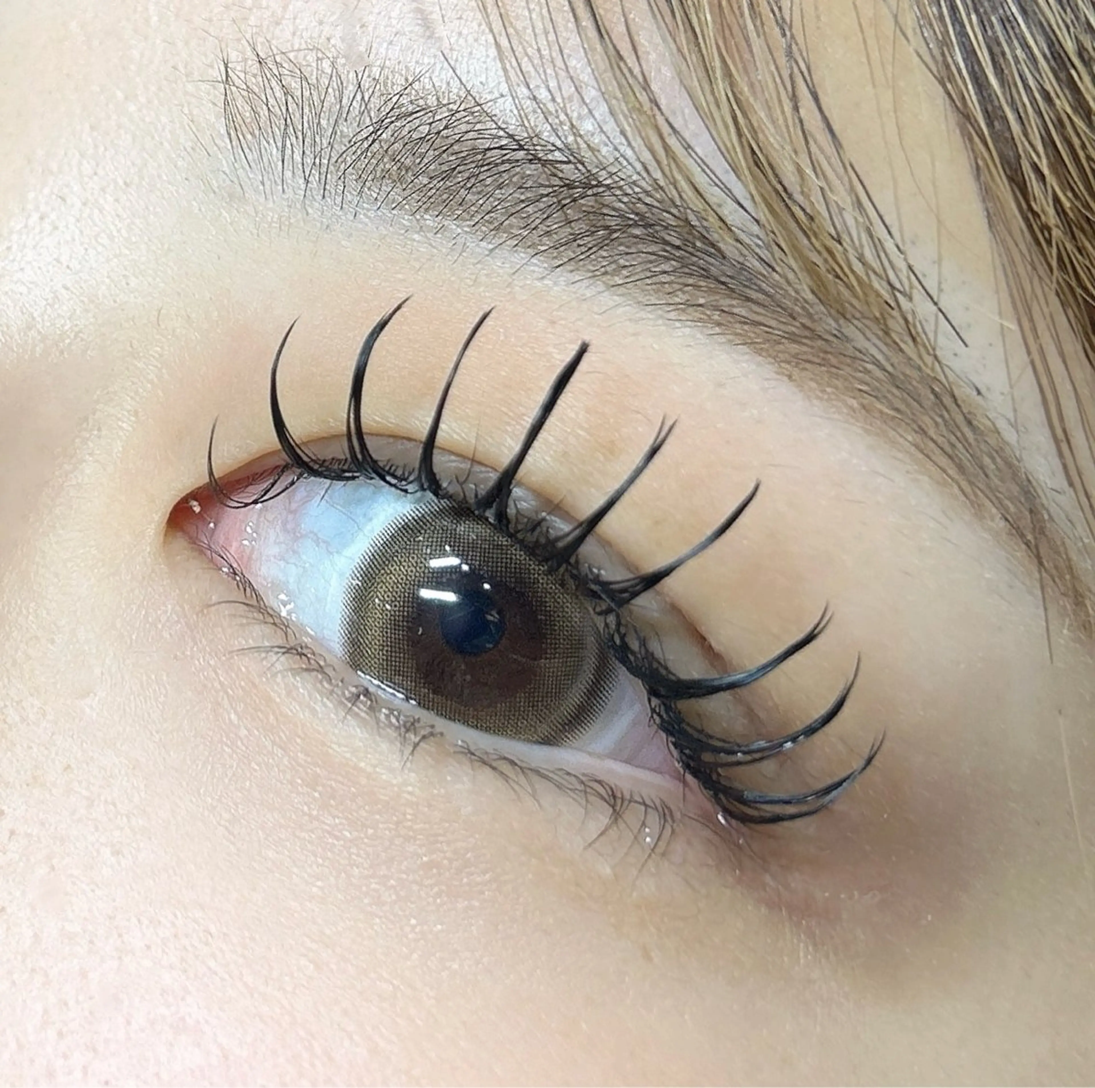 【初回限定】🦋練習モデル🦋フラットラッシュ❤ マツエク120本💎✨モチの良さ◎　[心斎橋駅/まつ毛エクステ]の写真