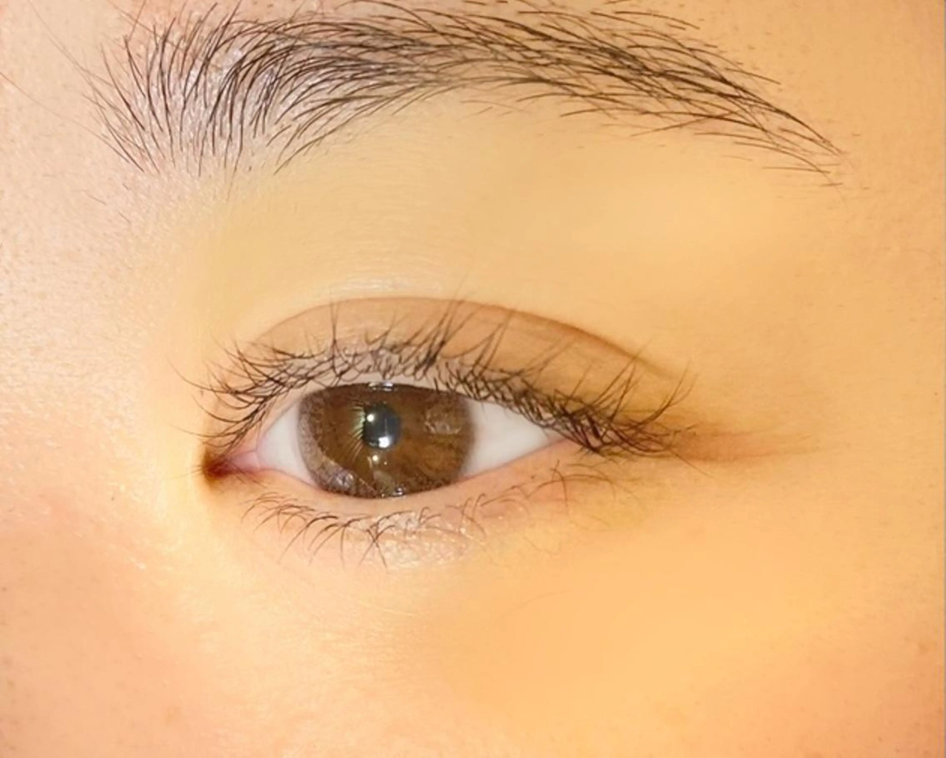 マツエク・マツパ パリジェンヌラッシュリフト 𓊆ᶠᵉᵉʸ𓊇 ᶜᴴᴵᴴᴬᴿᵁのマツエク・マツパデザイン