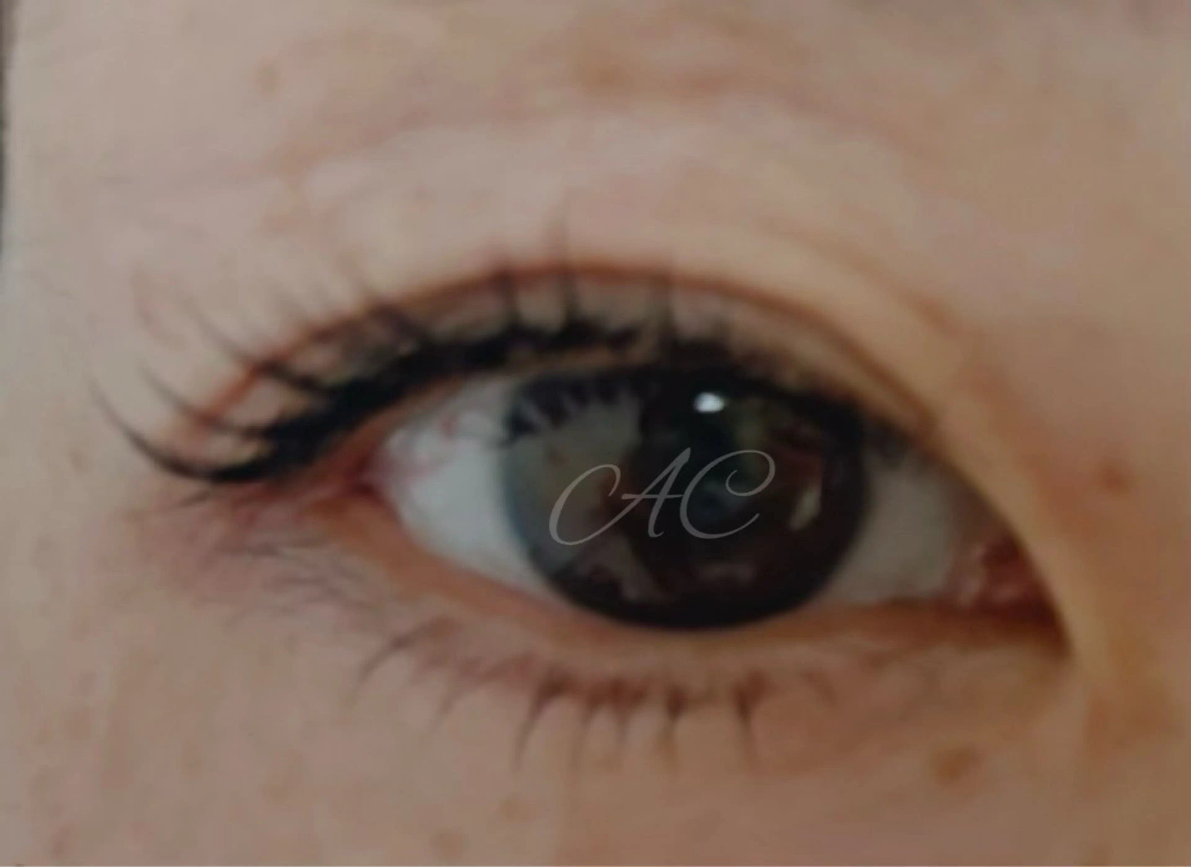 パリジェンヌ&ラッシュリフト（ブラックコーティングorトリートメント付き）の写真