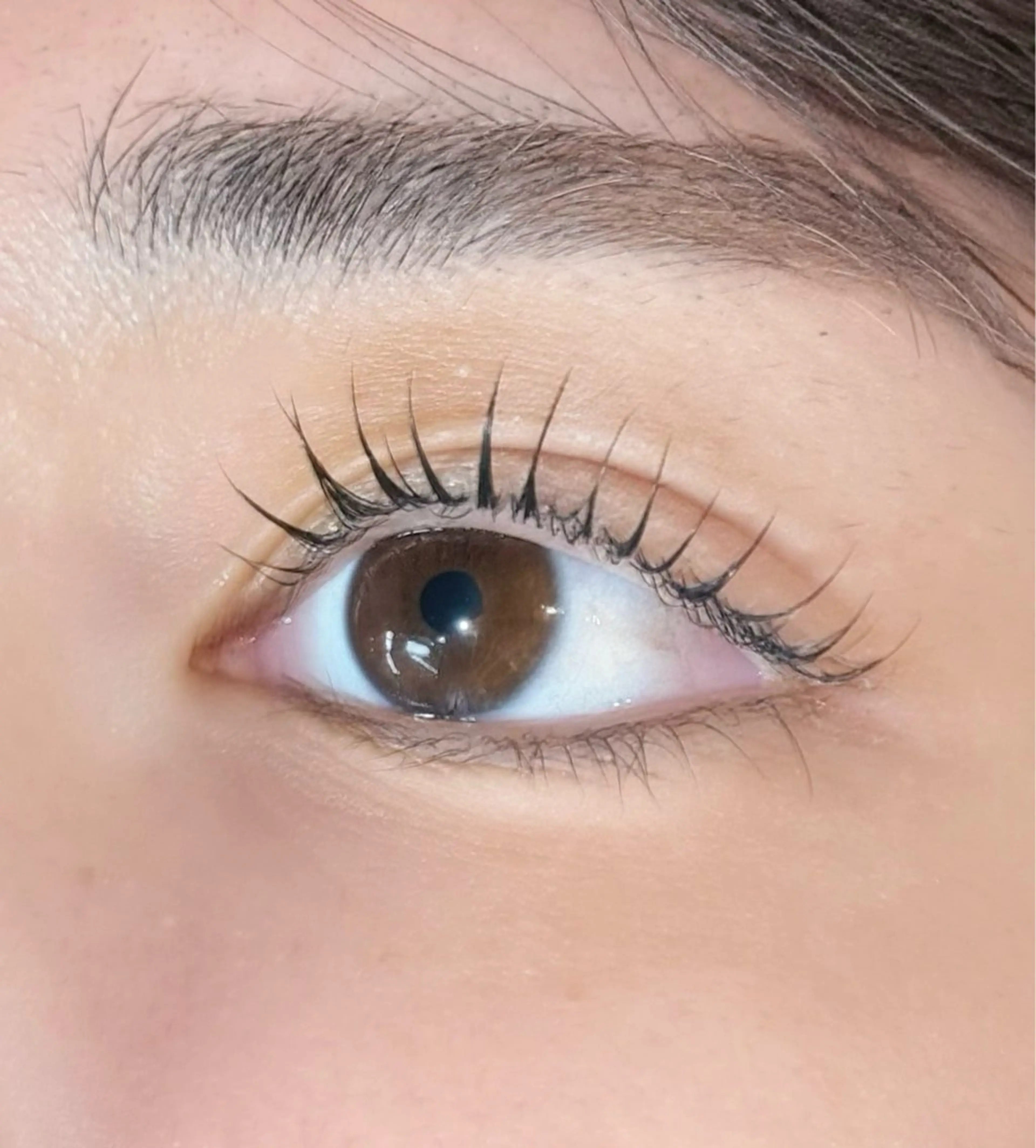 【選べる】🧸まつげパーマorパリジェンヌ🩰の写真